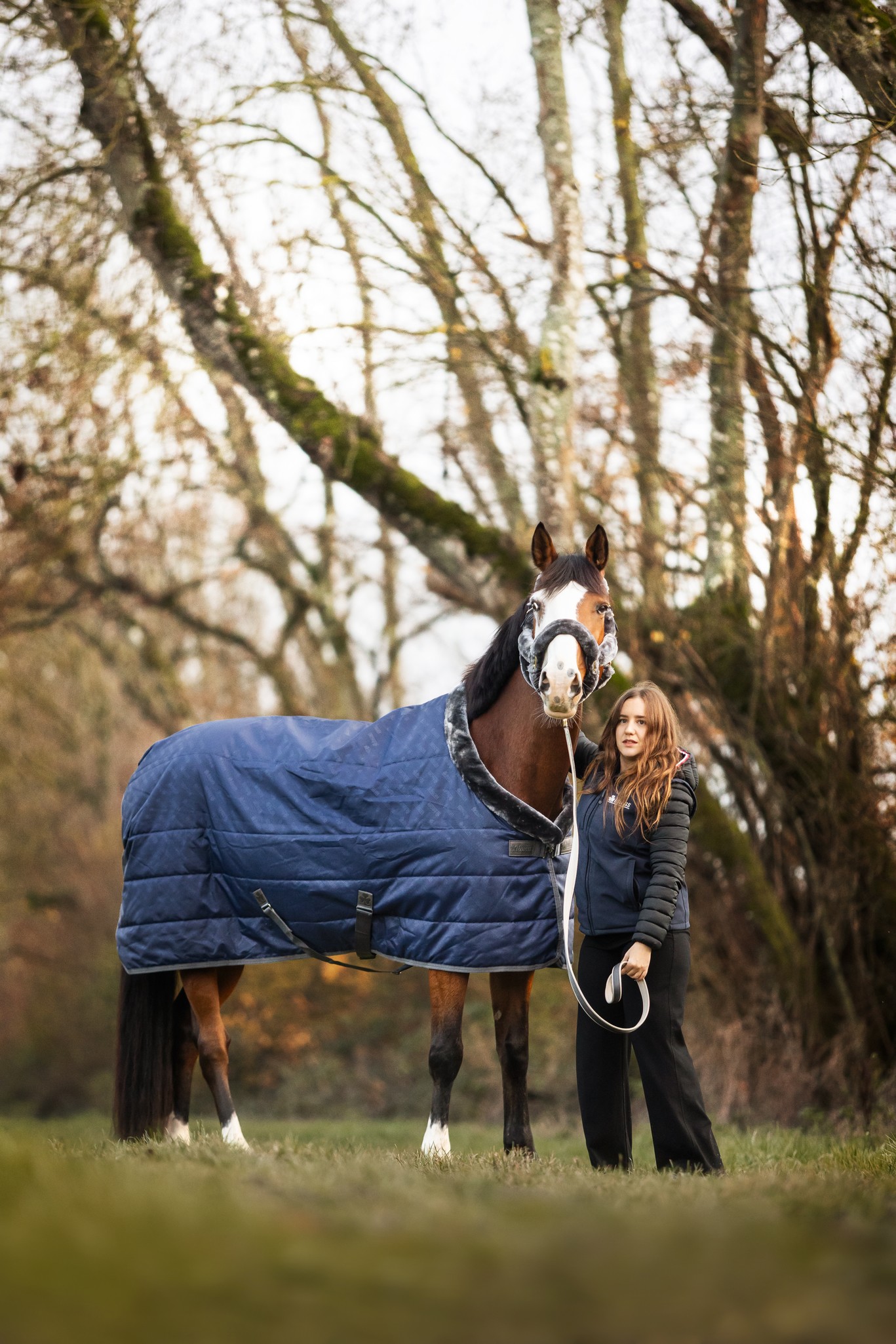 Stalldecke Show-Line in Navy/Grey