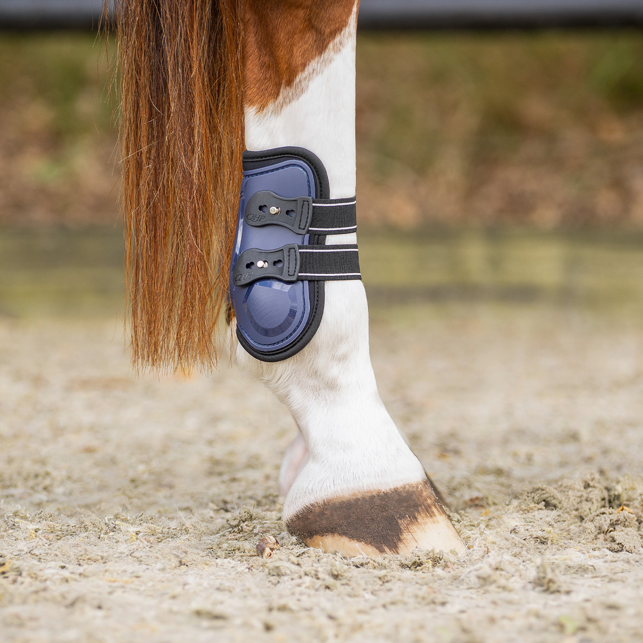 Champion fetlock boots