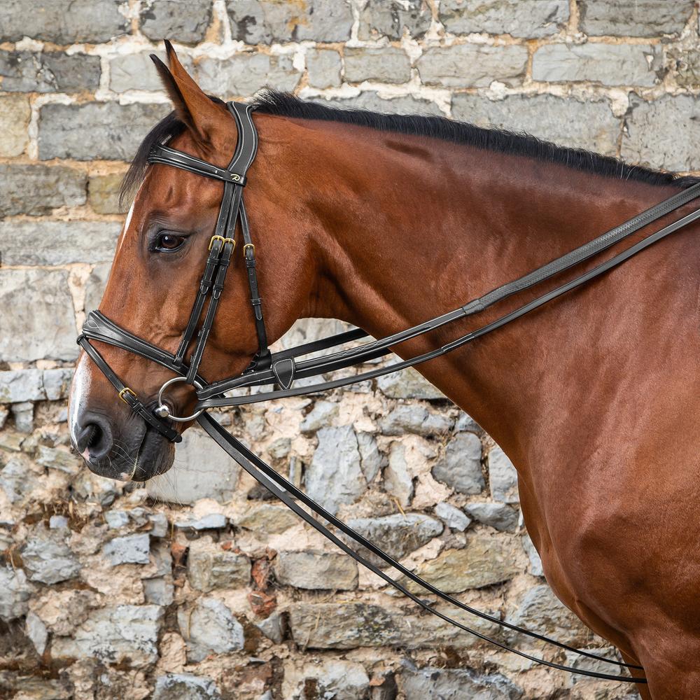 Ausbindezügel komplett aus Leder 1/2" | Dy'on