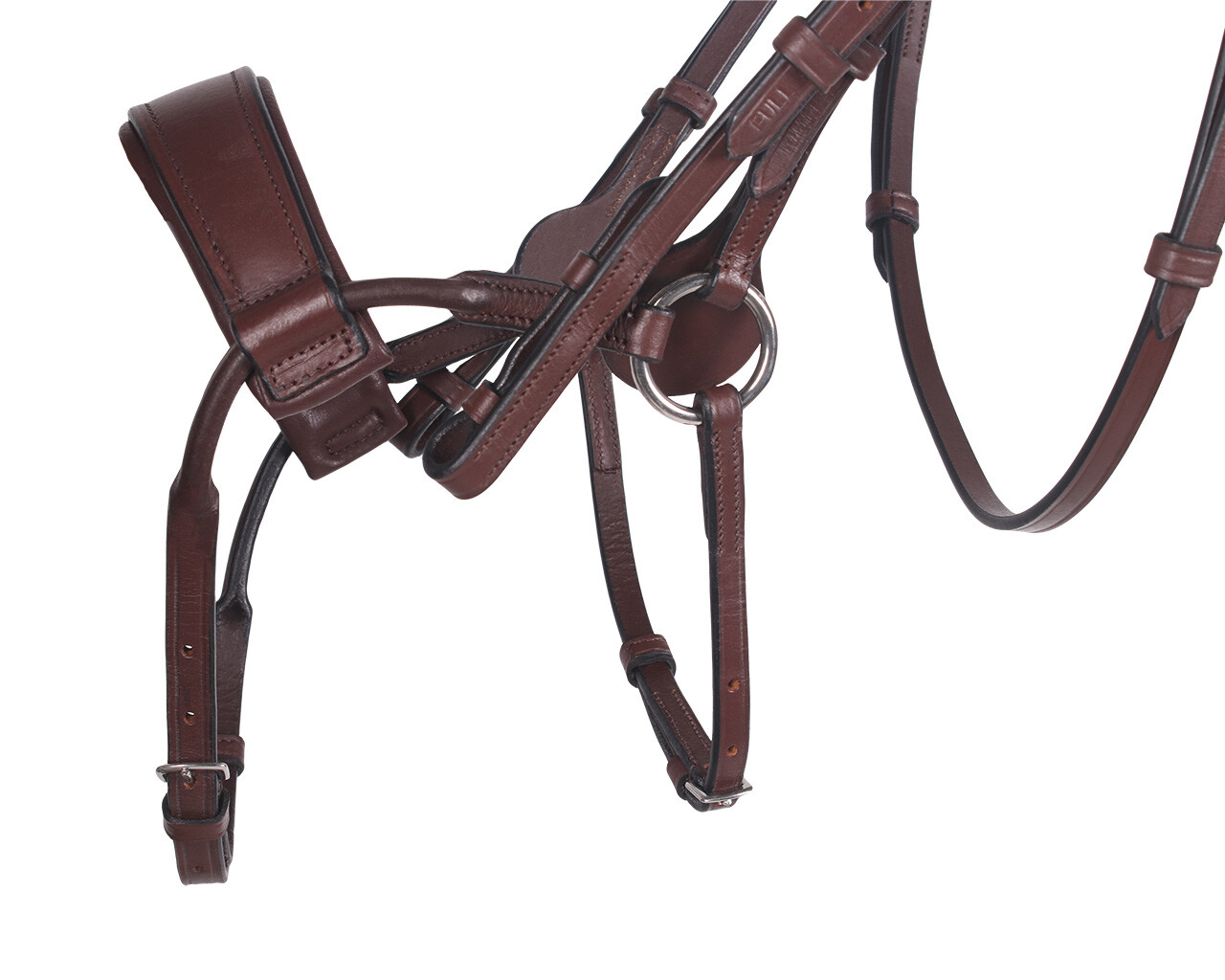 Snaffle Sedna
