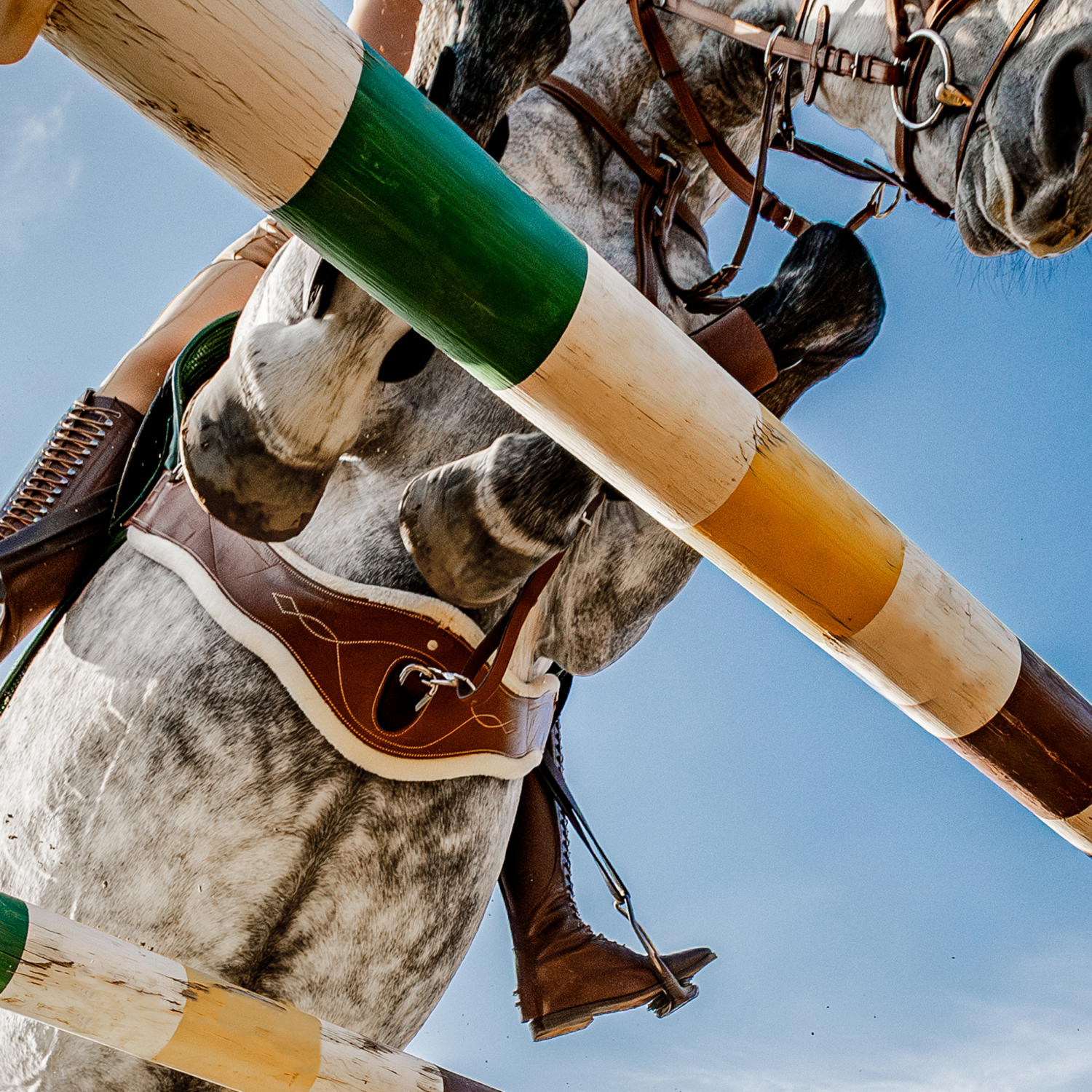 Sattelgurt Take-Off Line LG