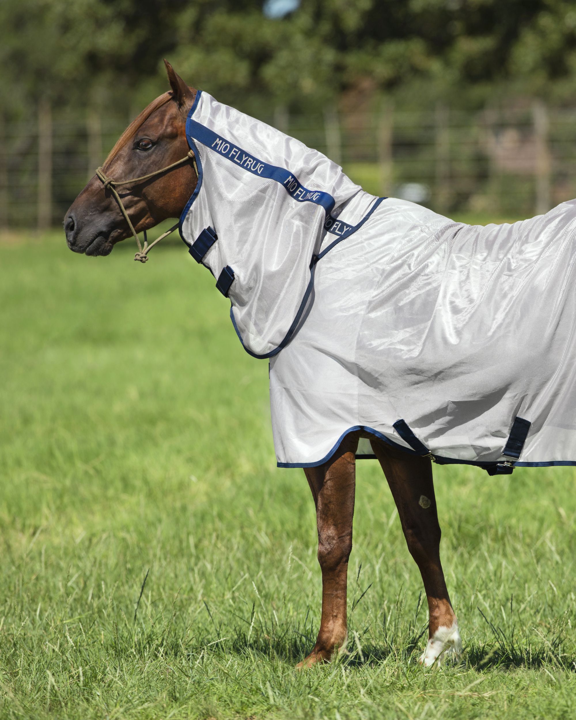 Fly rug Mio Fly Rug in lunar rock/navy