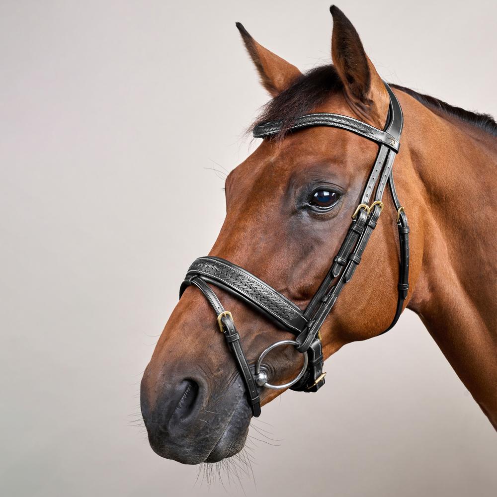Geflochtene Trense mit schwedischen Reithalfter DY | Dy'on
