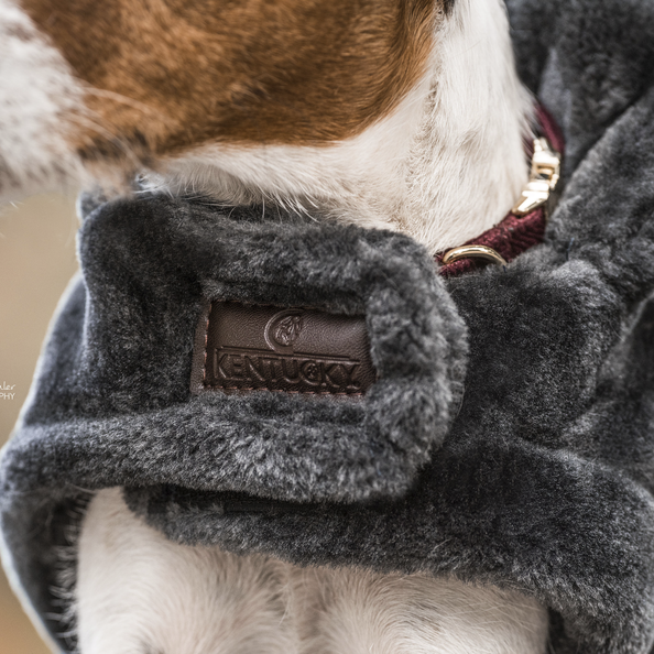 Fake fur dog coat in grey