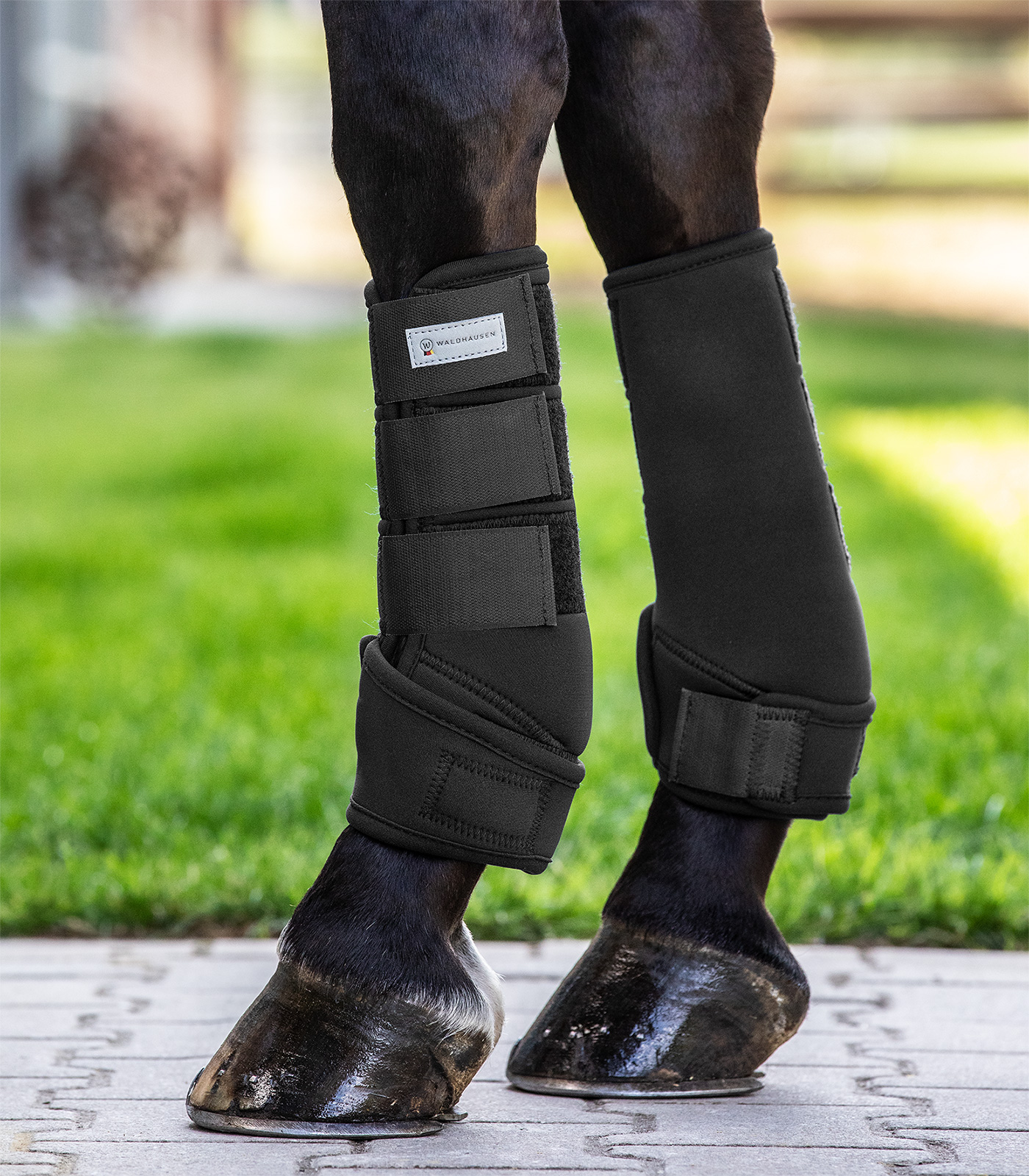 Fetlock boots Protect