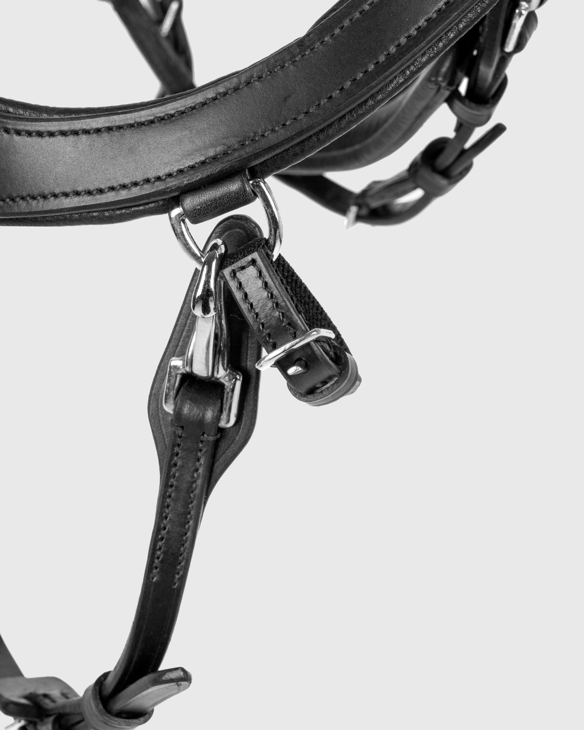 Snaffle FaySport