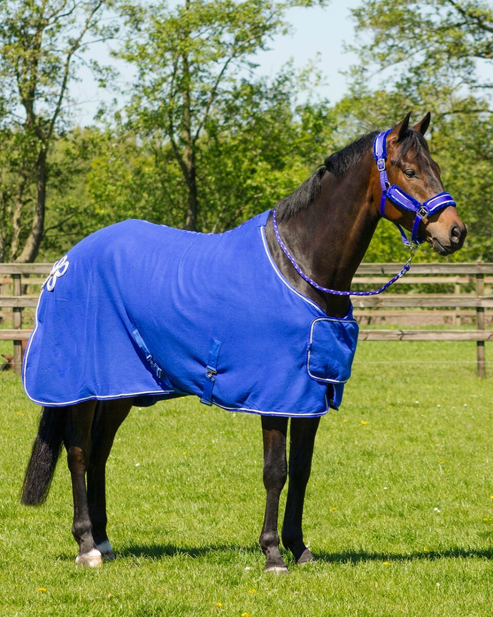 Sweat rug with ornament