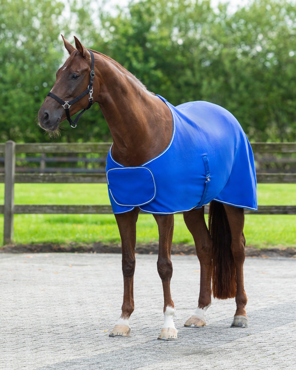 Sweat rug with ornament