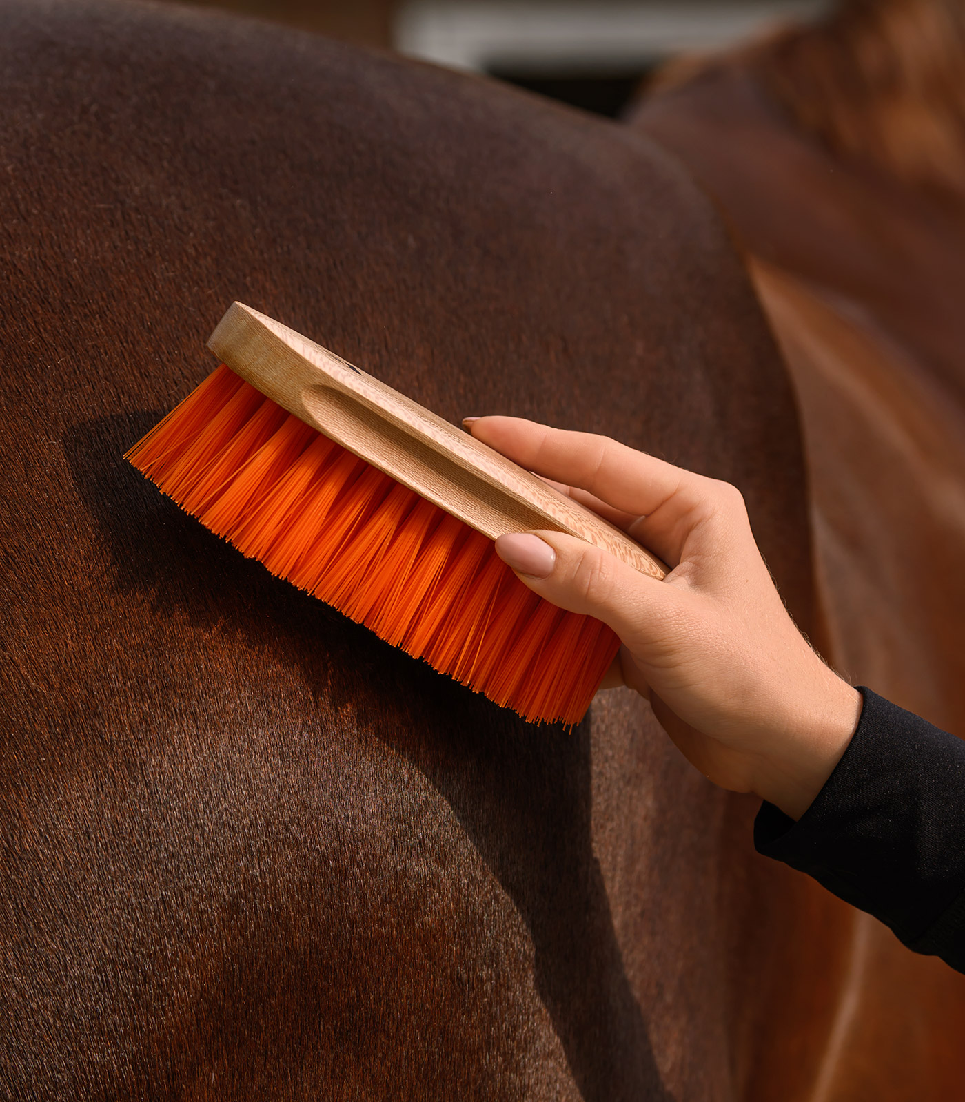 Mane Brush Colorcare