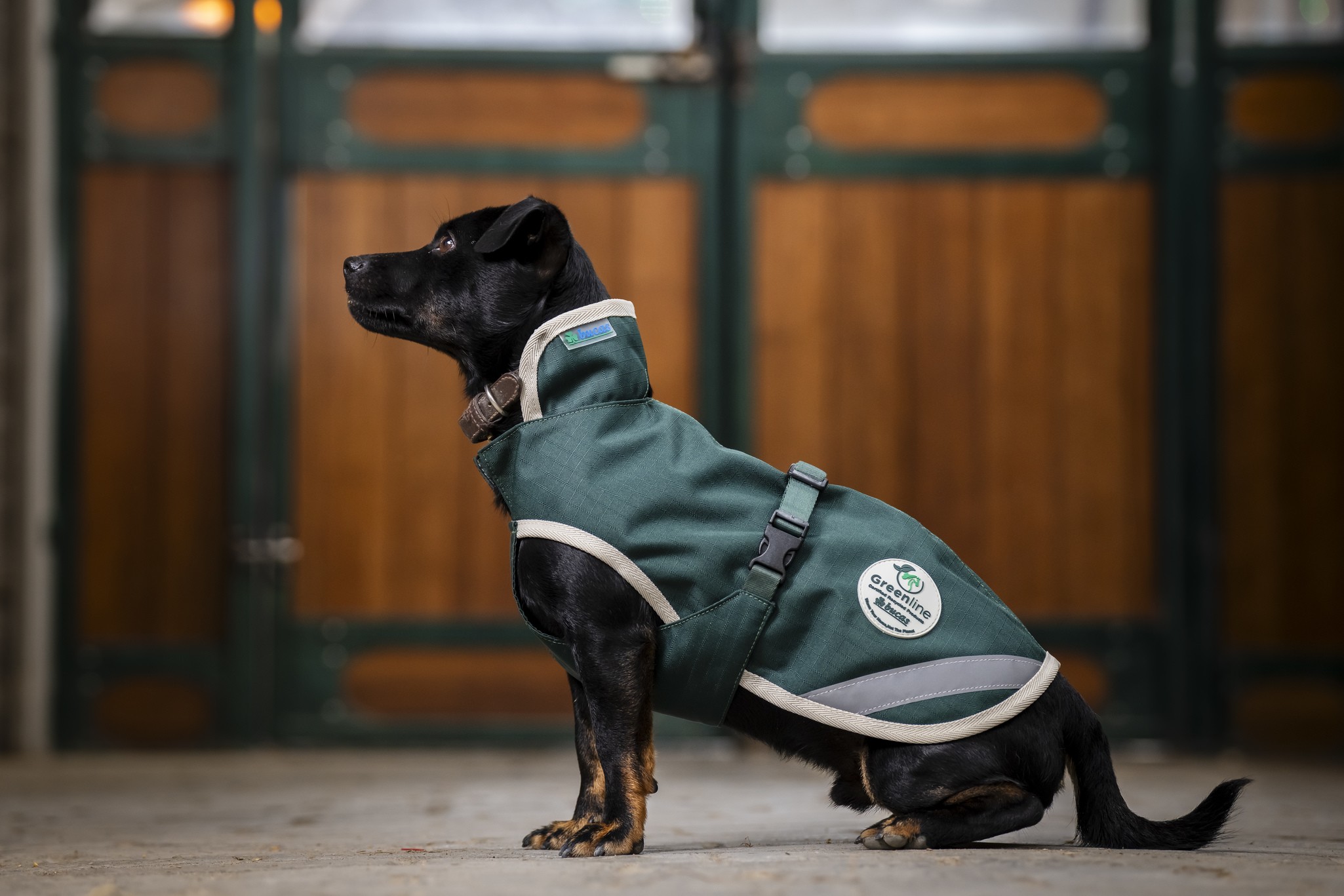 Hundedecke Greenline in Green/cream