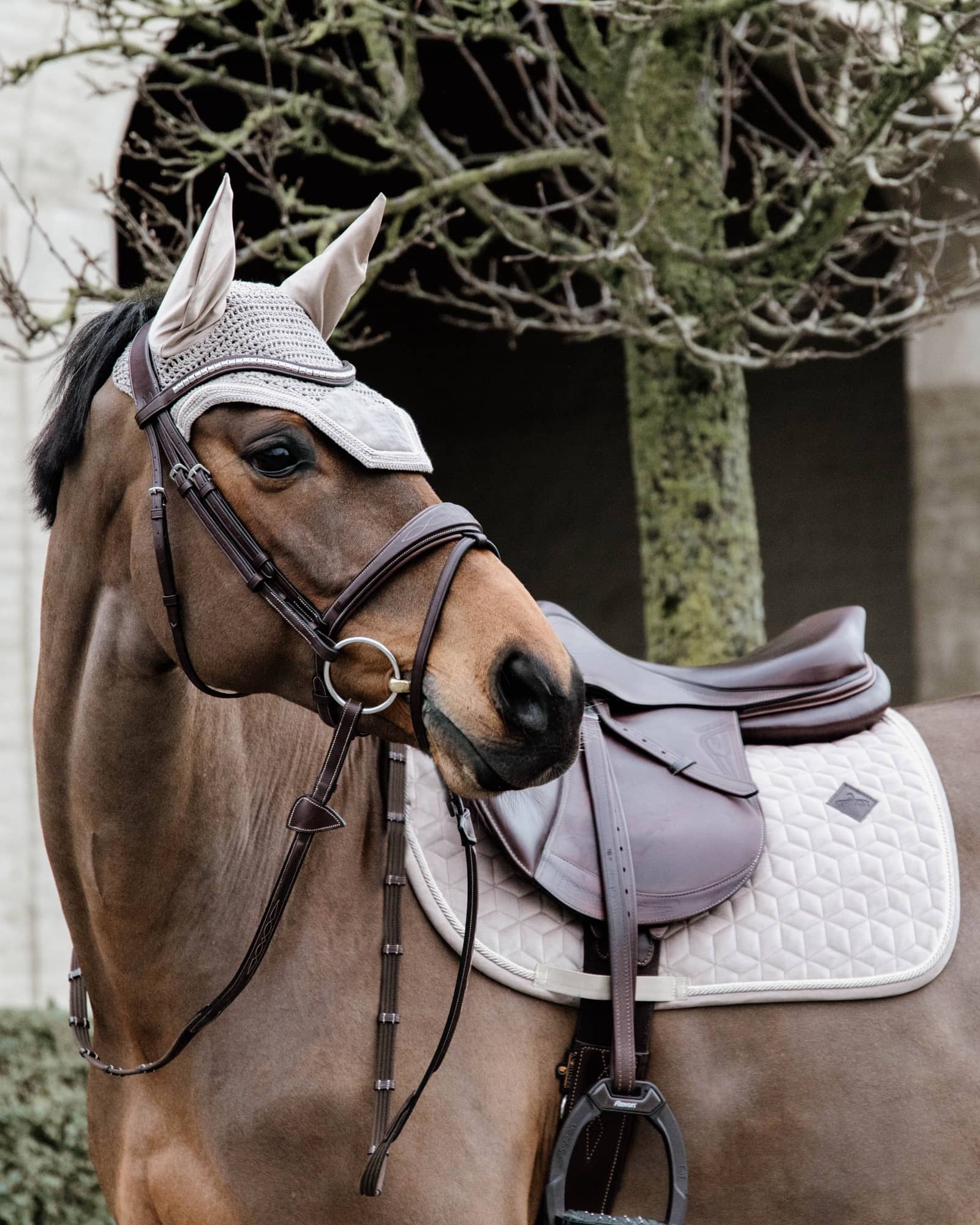 Jumping saddle pad Basic Velvet