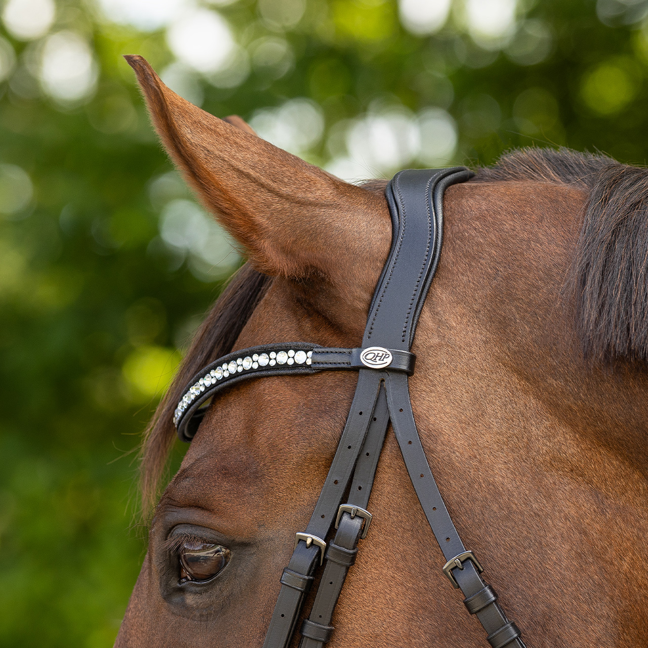 Snaffle Orlando