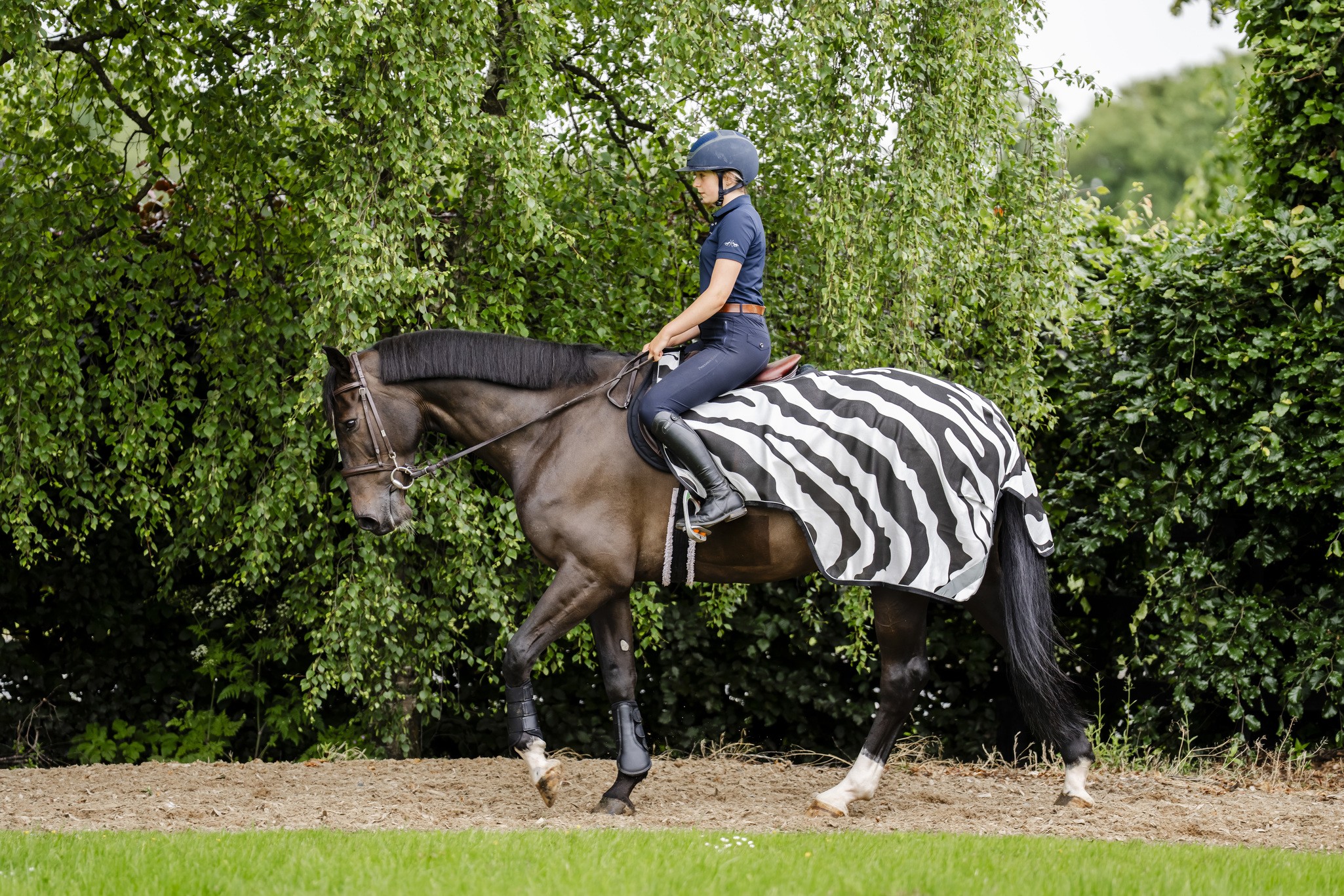 Fliegendecke Buzz-Off Riding in Zebra/Black
