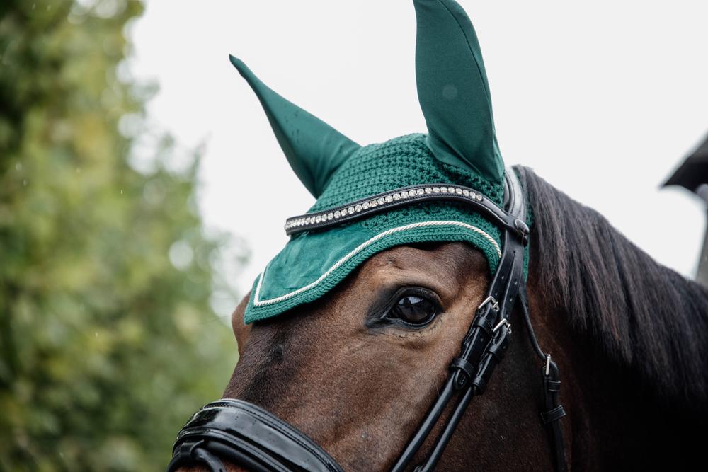 Fliegenhaube Wellington Velvet
