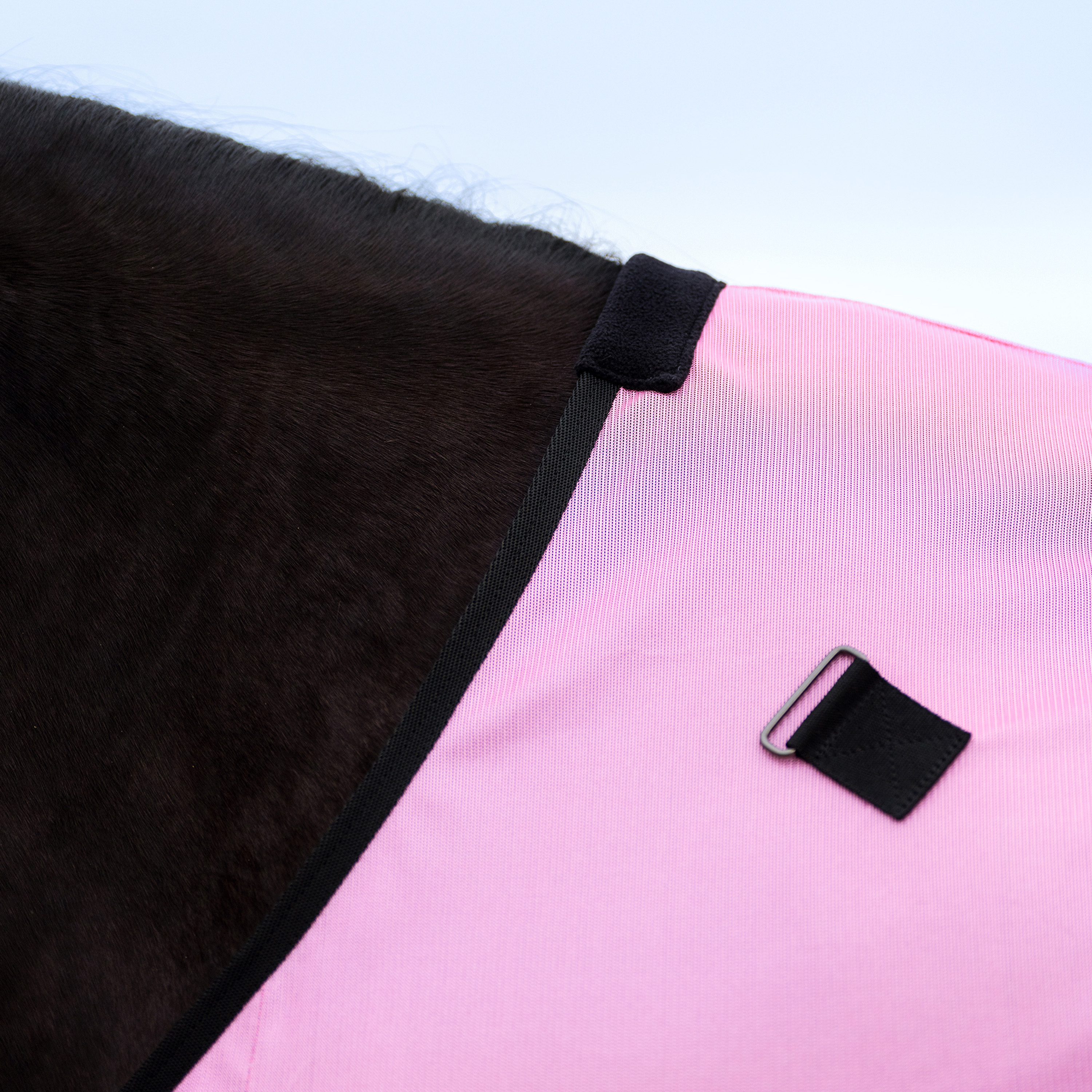 Fliegendecke Nena