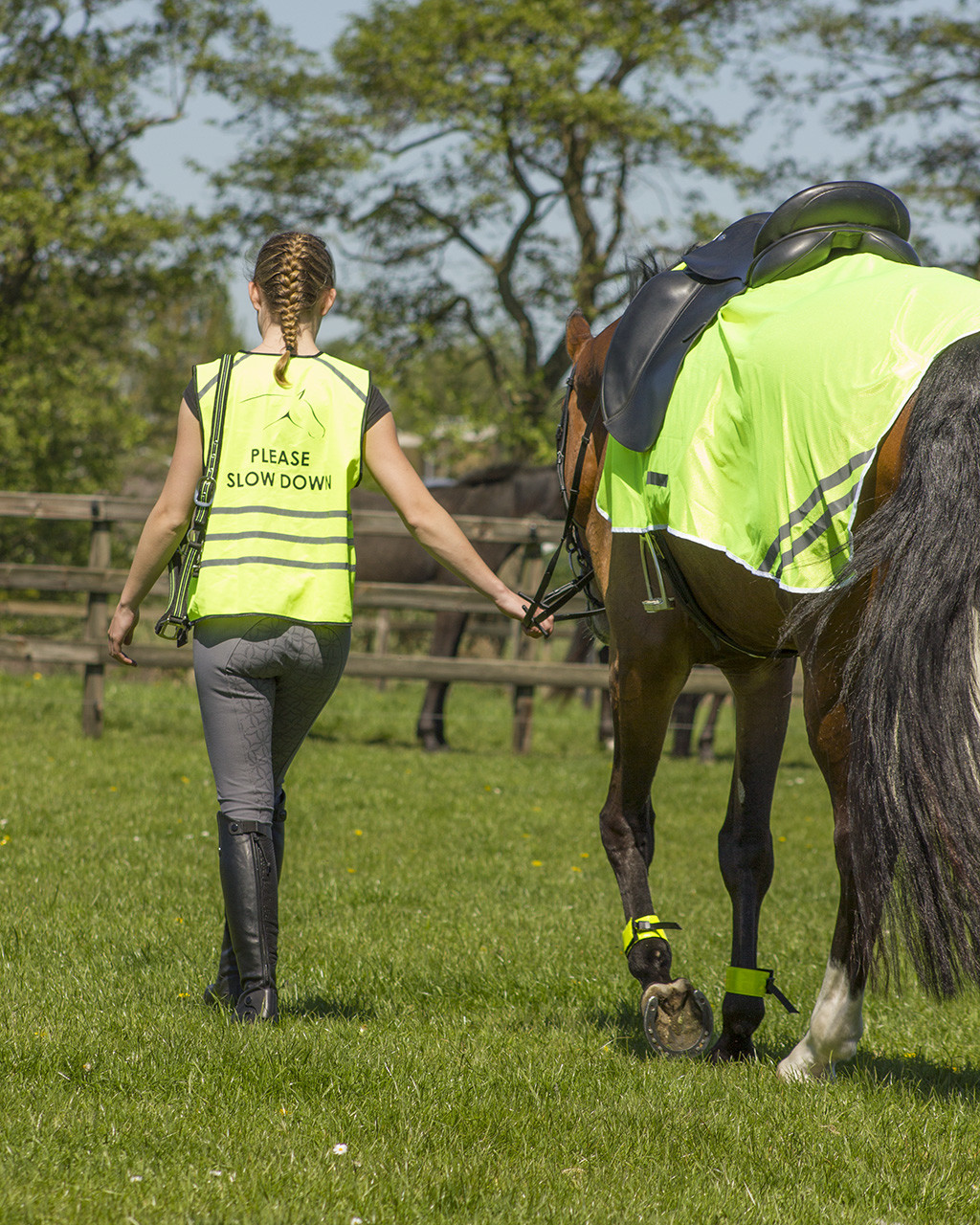 Riding rug Reflexions