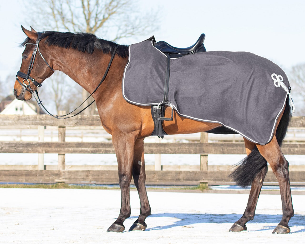 Riding rug fleece with ornament