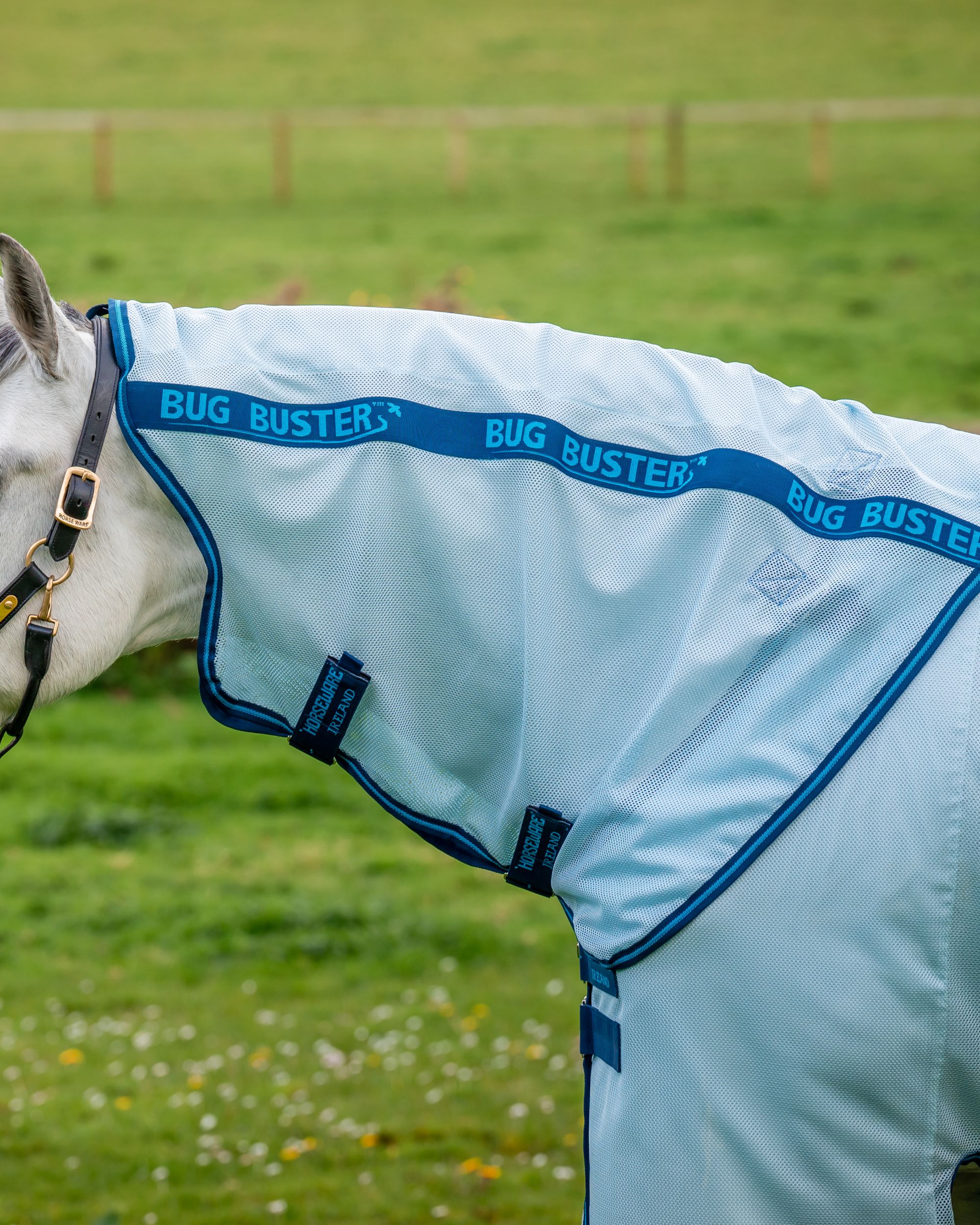 Fly rug Amigo Bug Buster in azure blue/navy