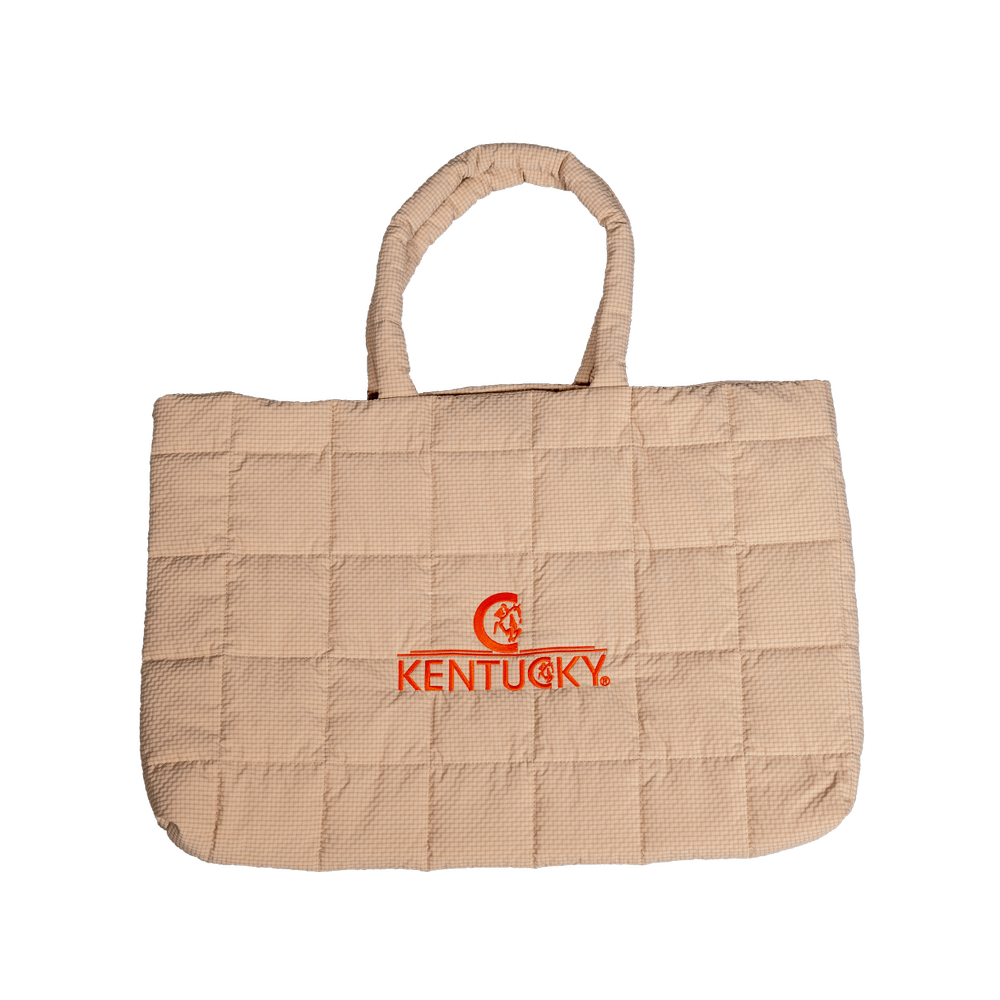 Padded bag