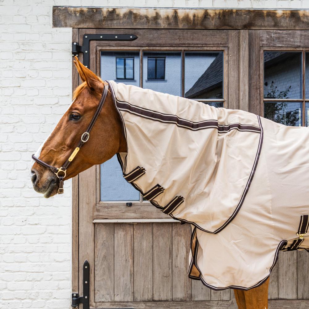 Comfort fly rug