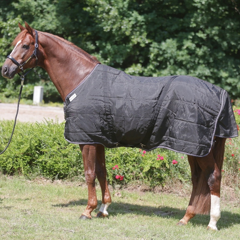 Couverture étalon "Stallion"-plastron 50g