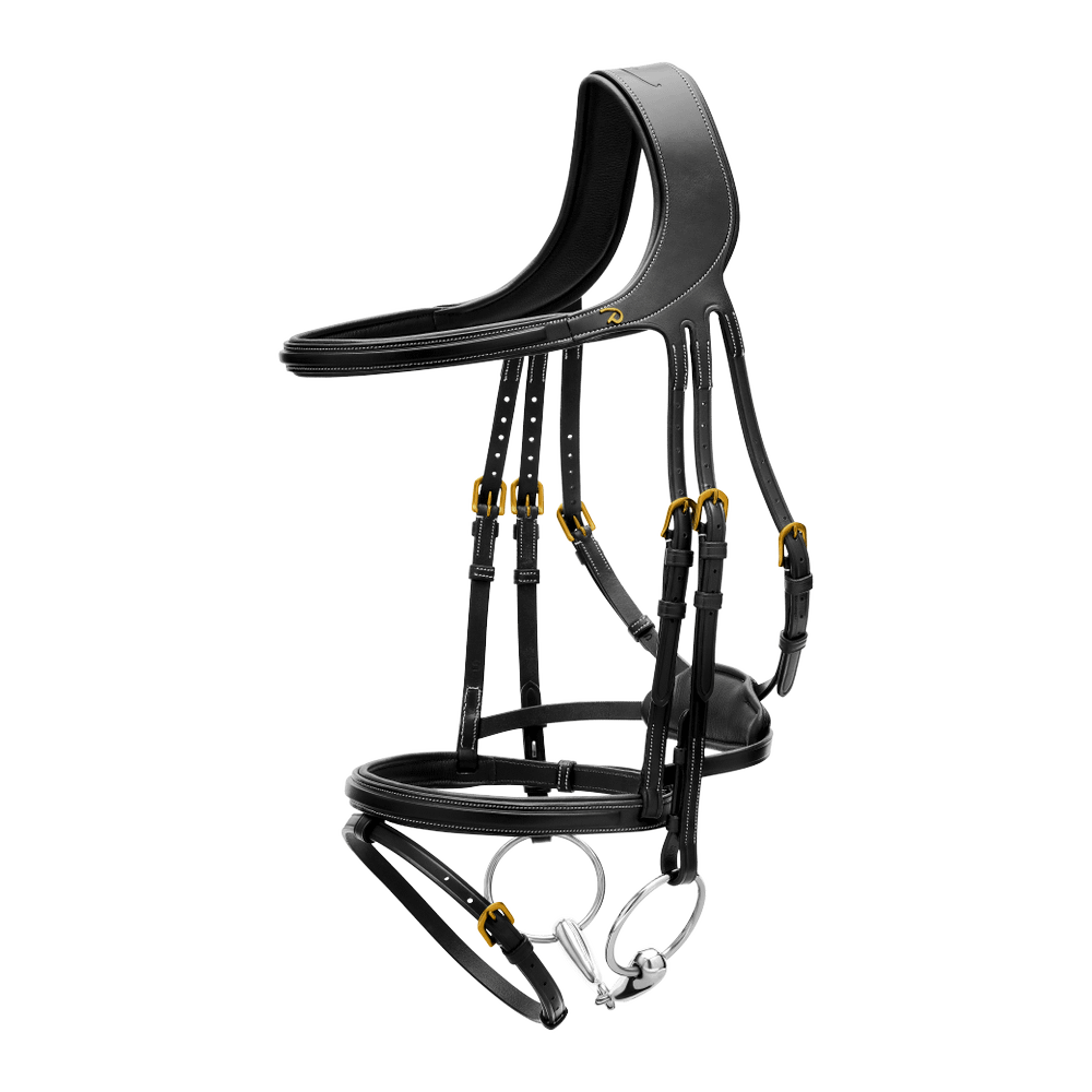 Difference Trense DY DY | Dy'on