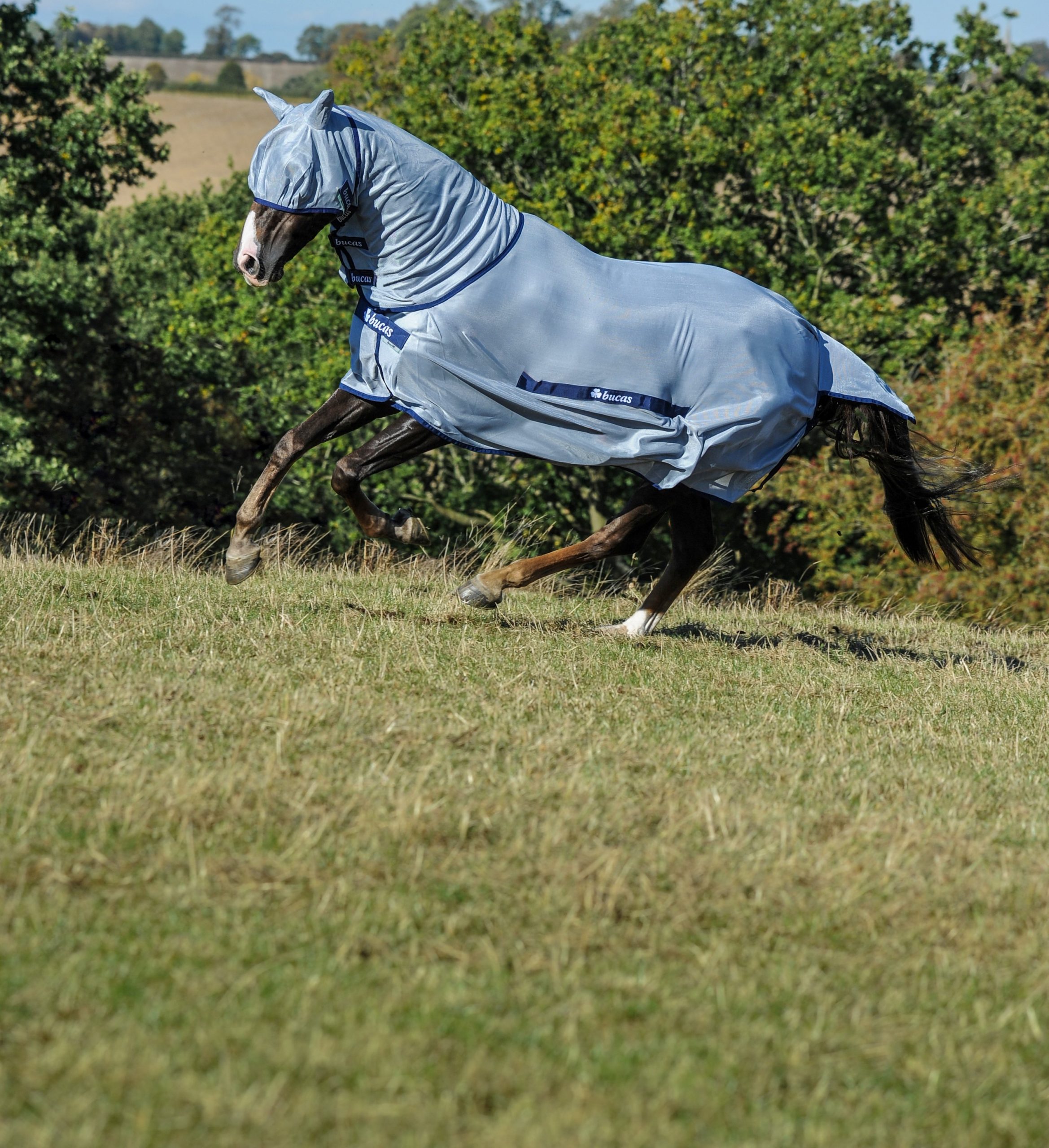 Fly rug Buzz-Off & Neck in Blue