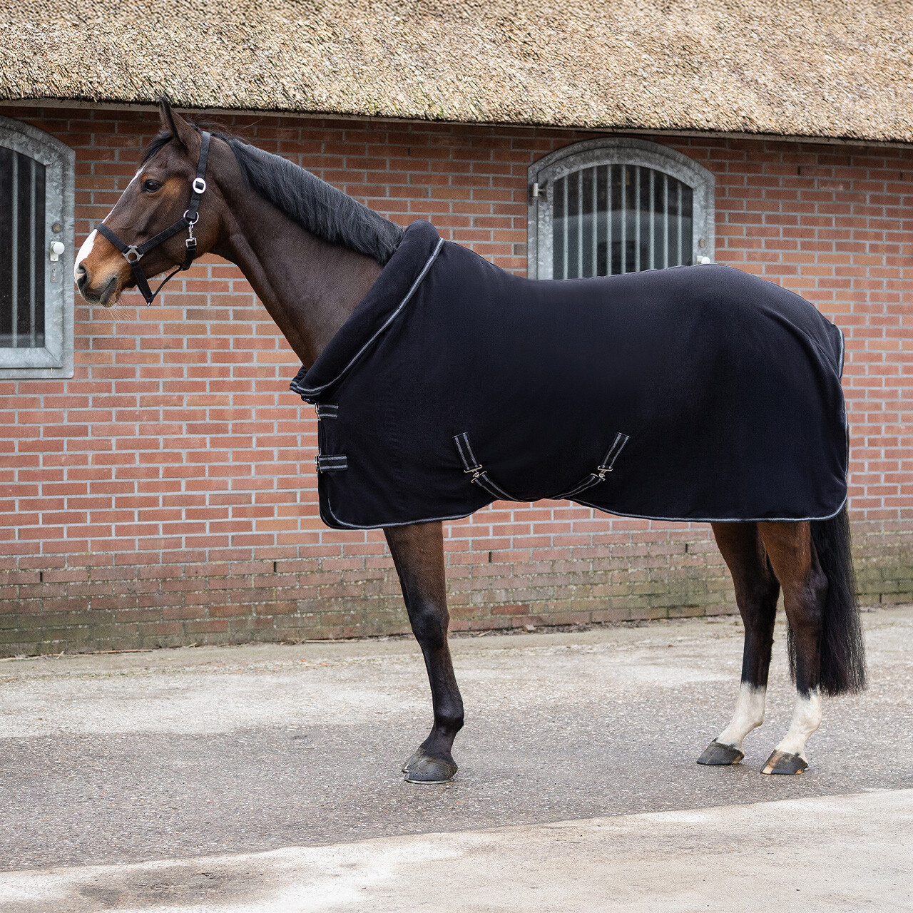 Abschwitzdecke Terry-dry in schwarz