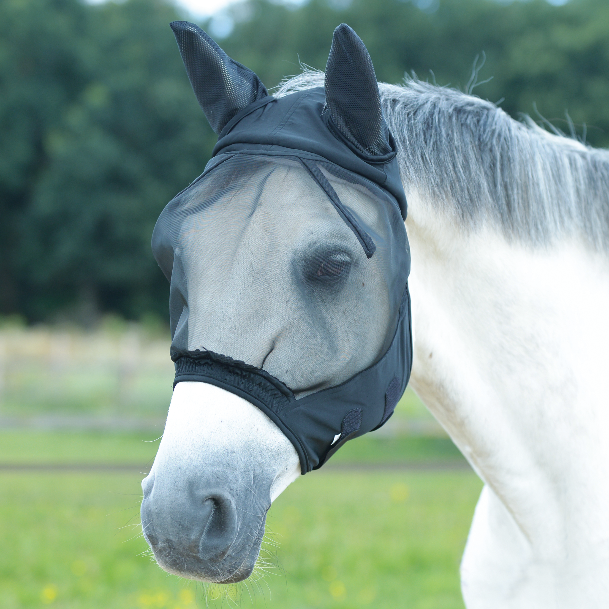 Masque anti-mouches Fly Buckler II