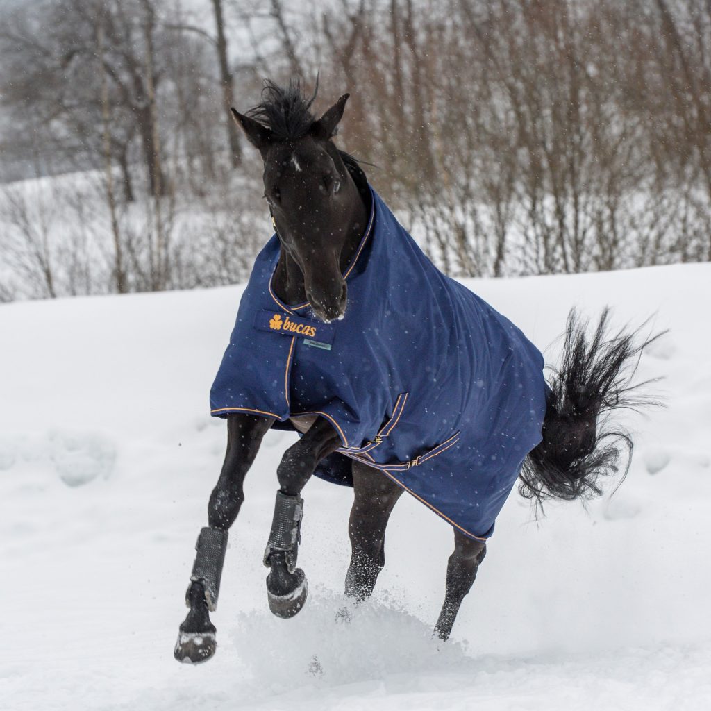 Outdoor rug Irish Turnout 150 g in Navy/gold