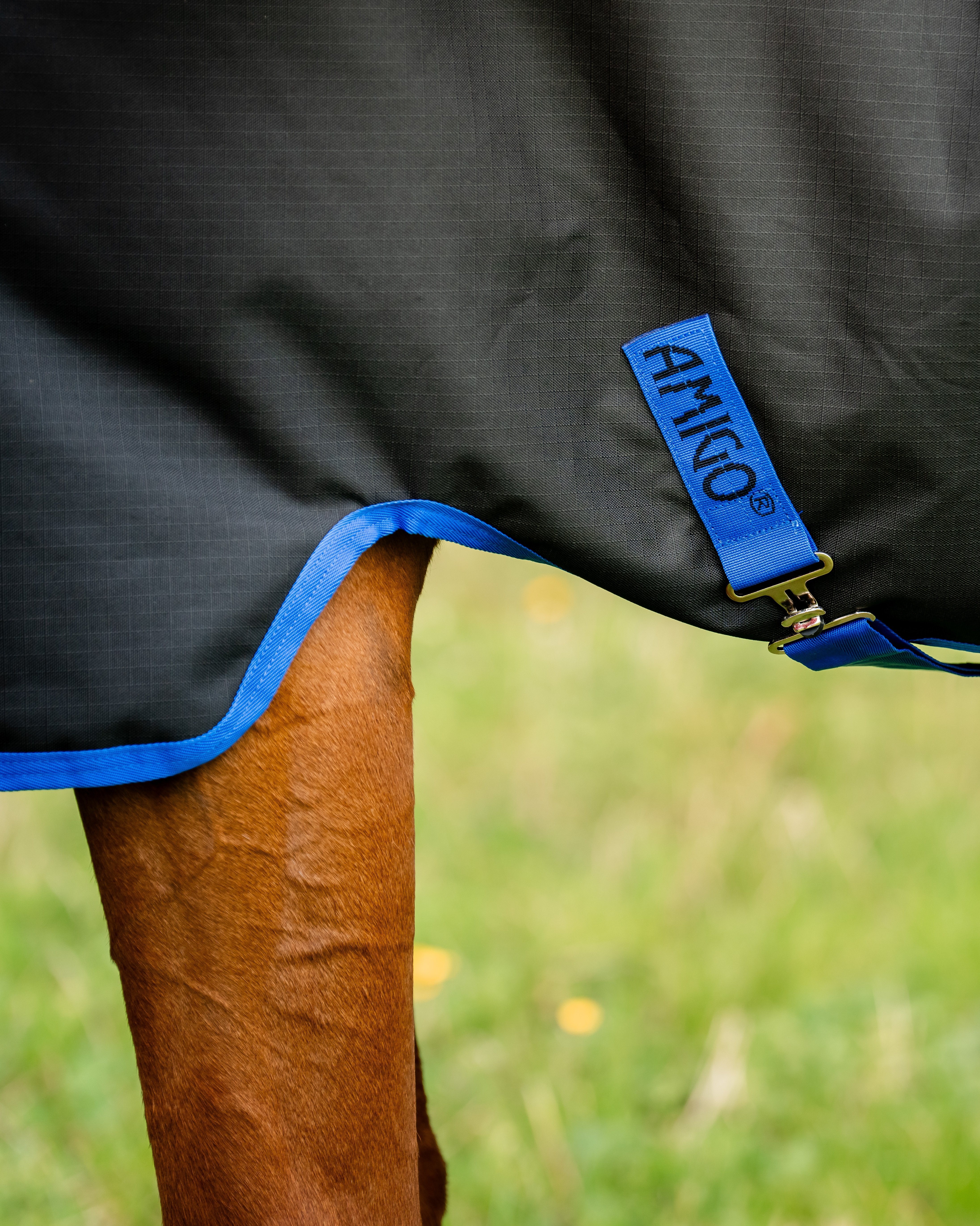 Outdoor rug Amigo Ripstop Turnout 100g in black/classic blue
