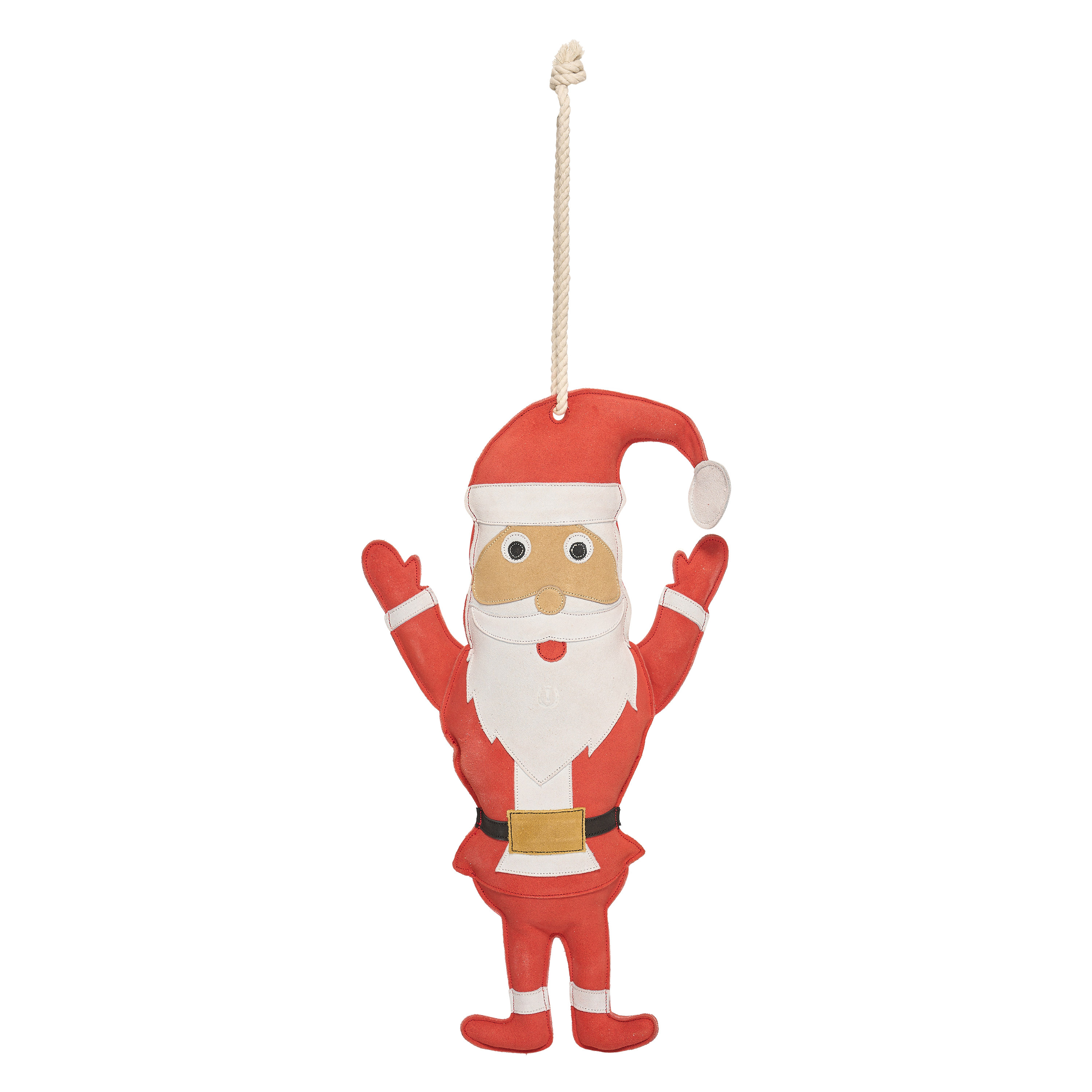 Stable buddy Santa