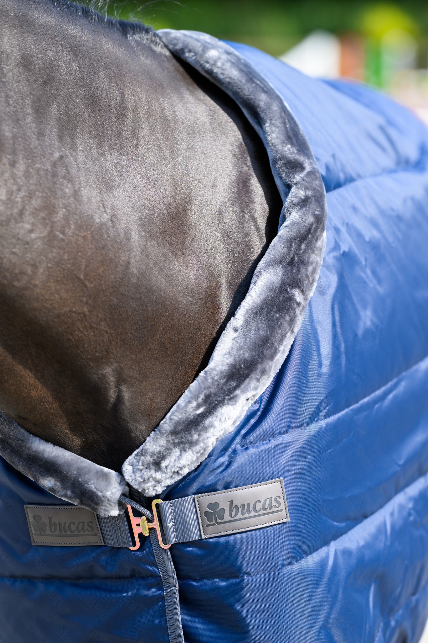 Stalldecke Show-Line in Navy/Grey