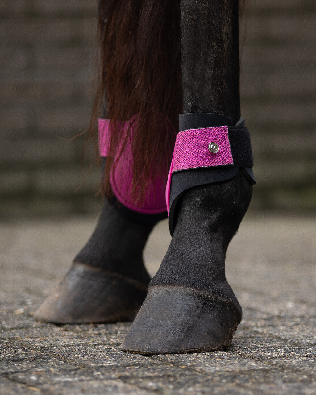 Rio fetlock boots