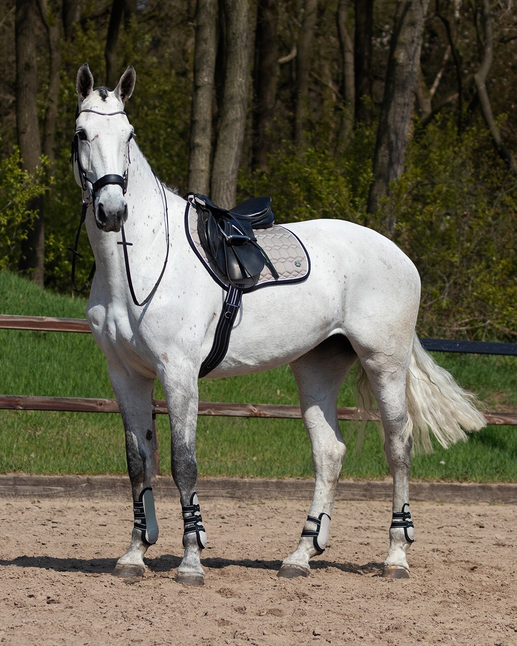 Saddle pad Eldorado