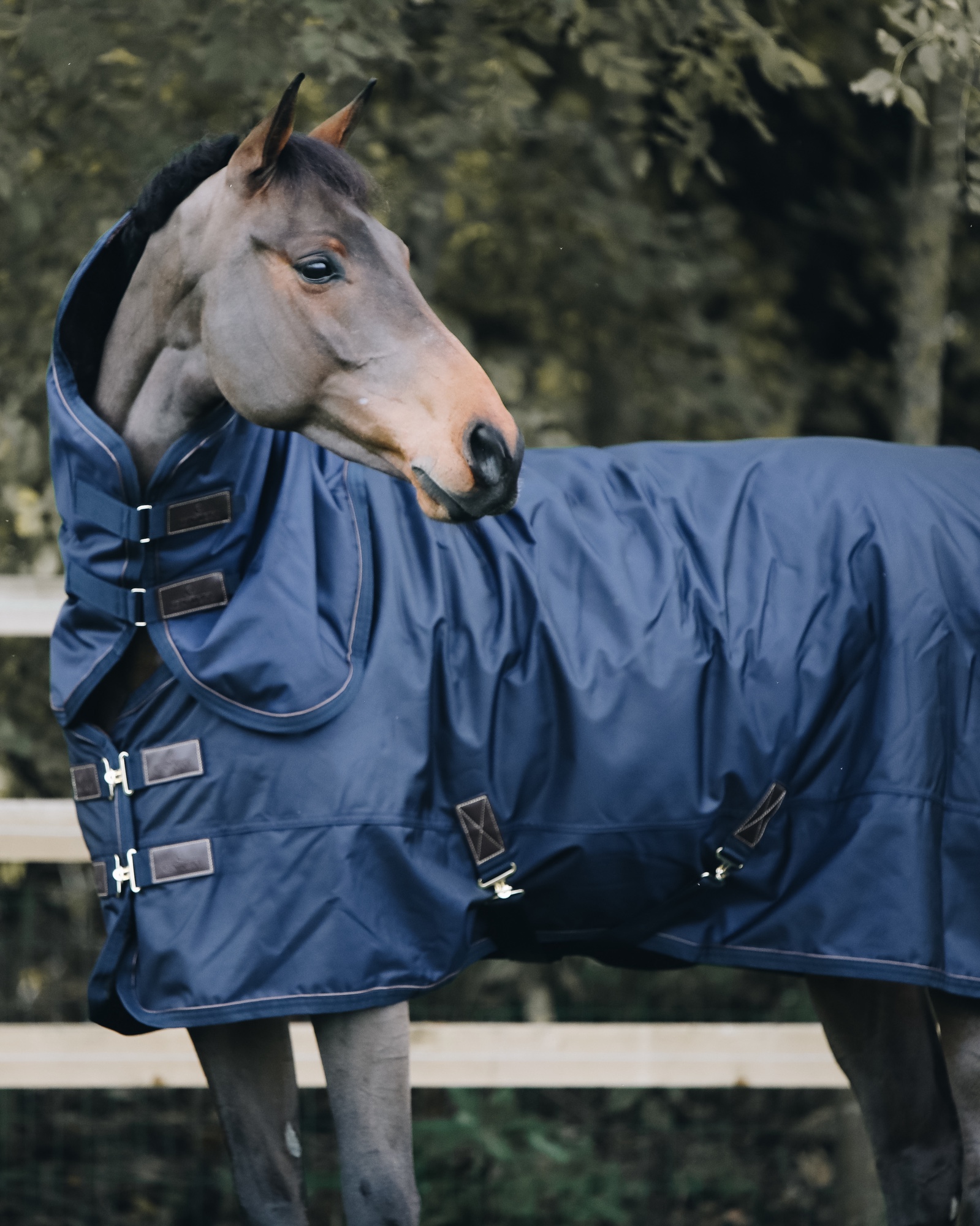 Outdoor rug All Weather waterproof Pro 300g