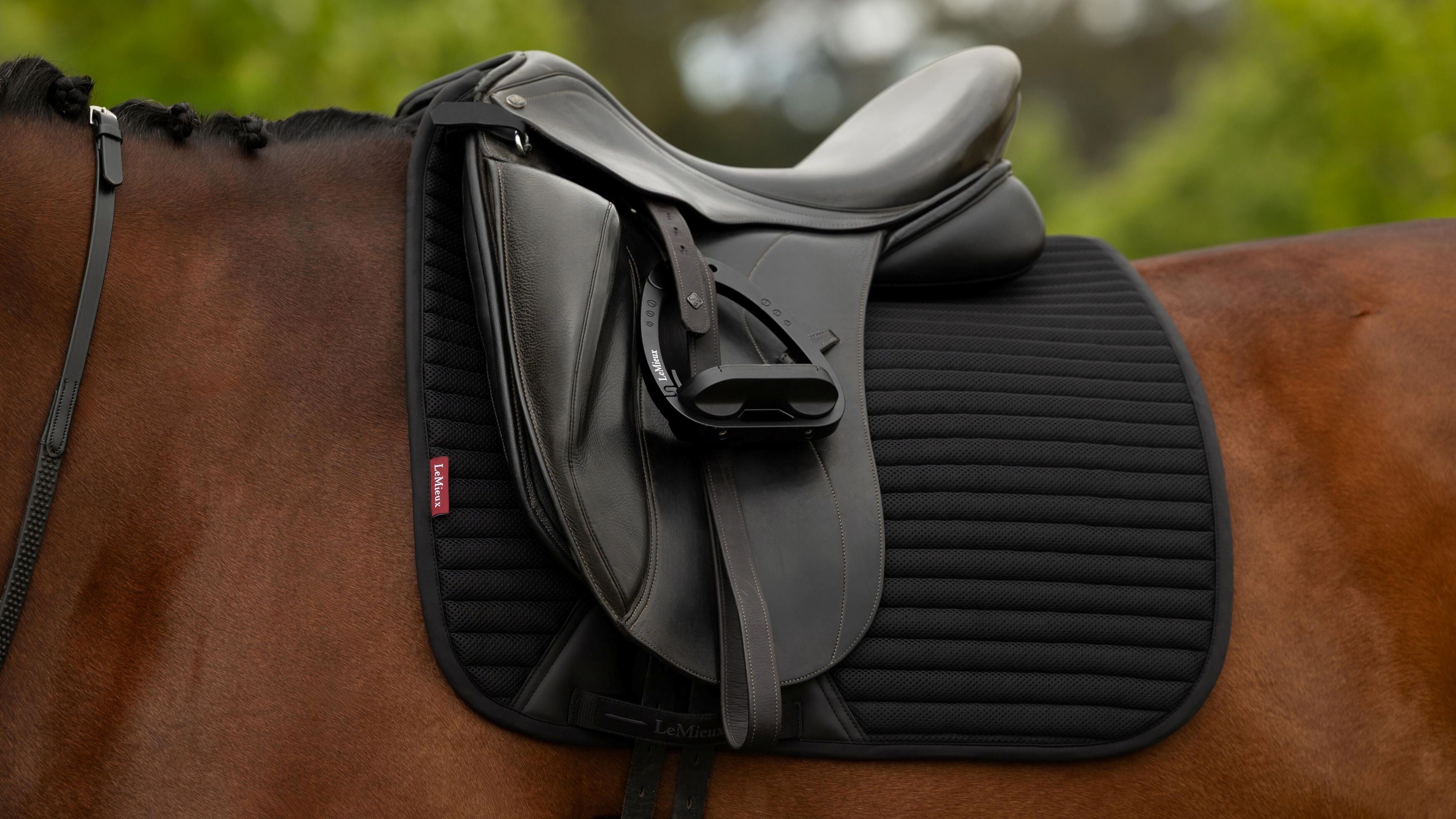 Air-Tek Mesh Dressurschabracke