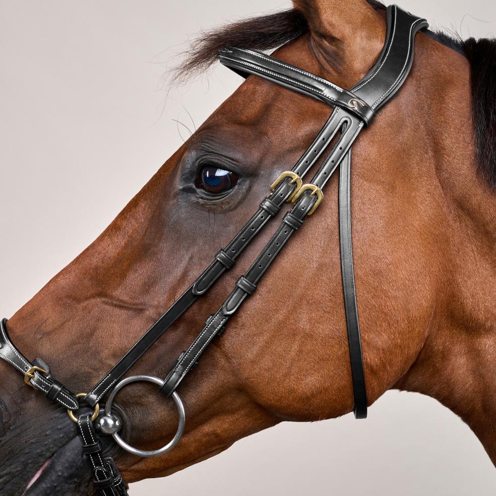 Trense mit verstellbarem hannoverschem Reithalfter DY | Dy'on