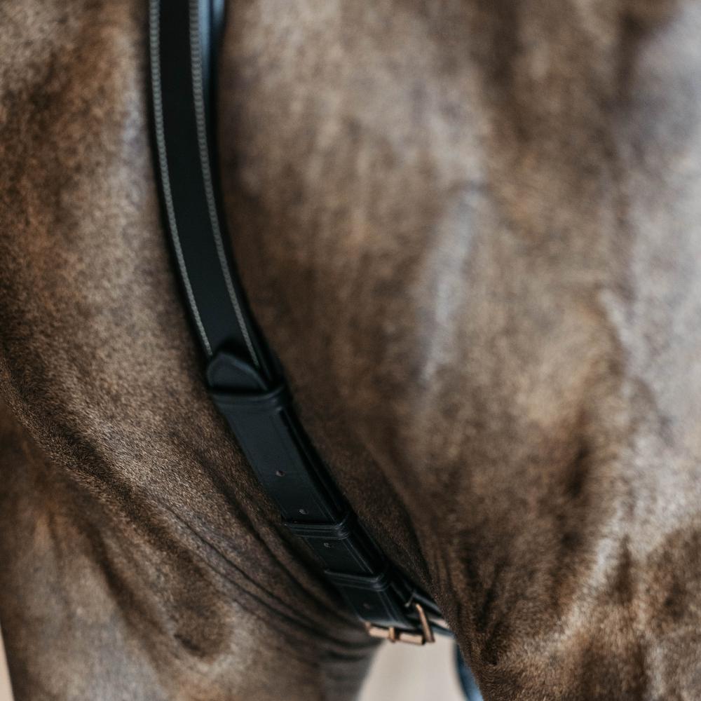 5-Punkt-Brustblatt mit Elastik | Dy'on