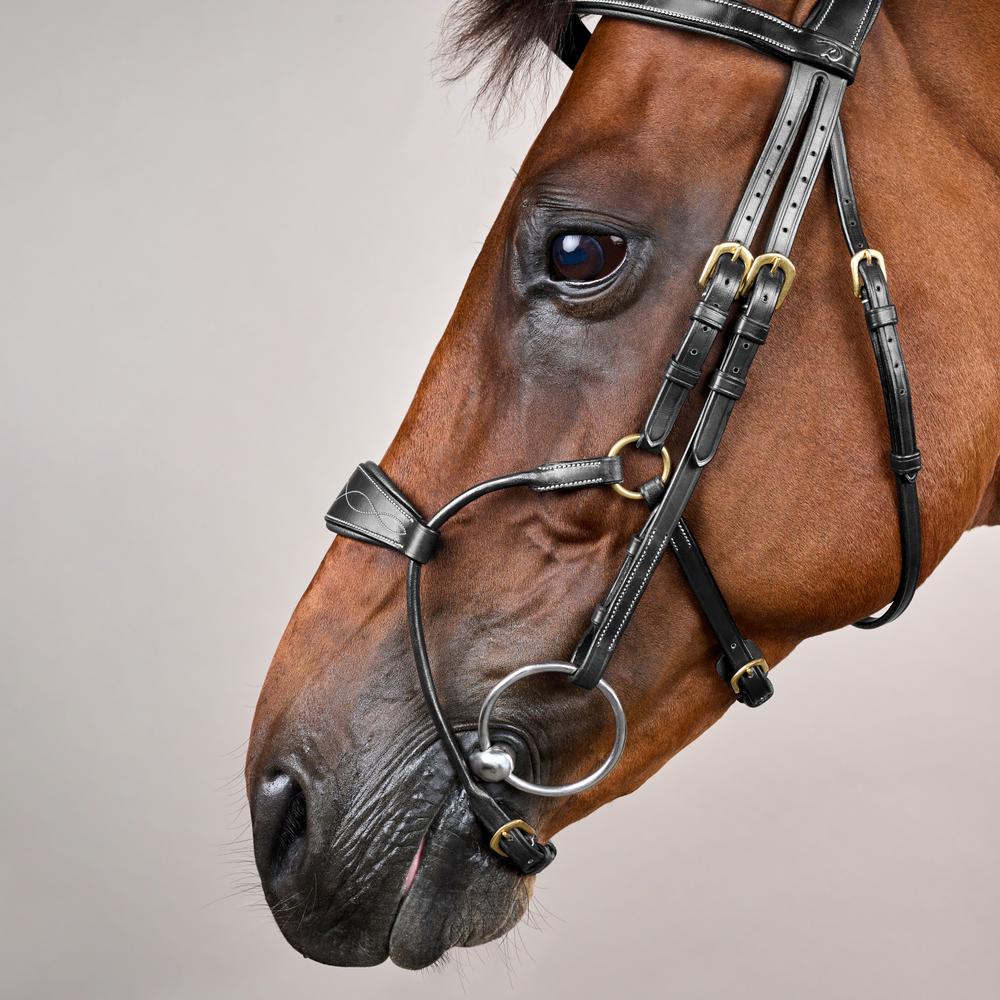 Hybrides Zaumzeug DY |