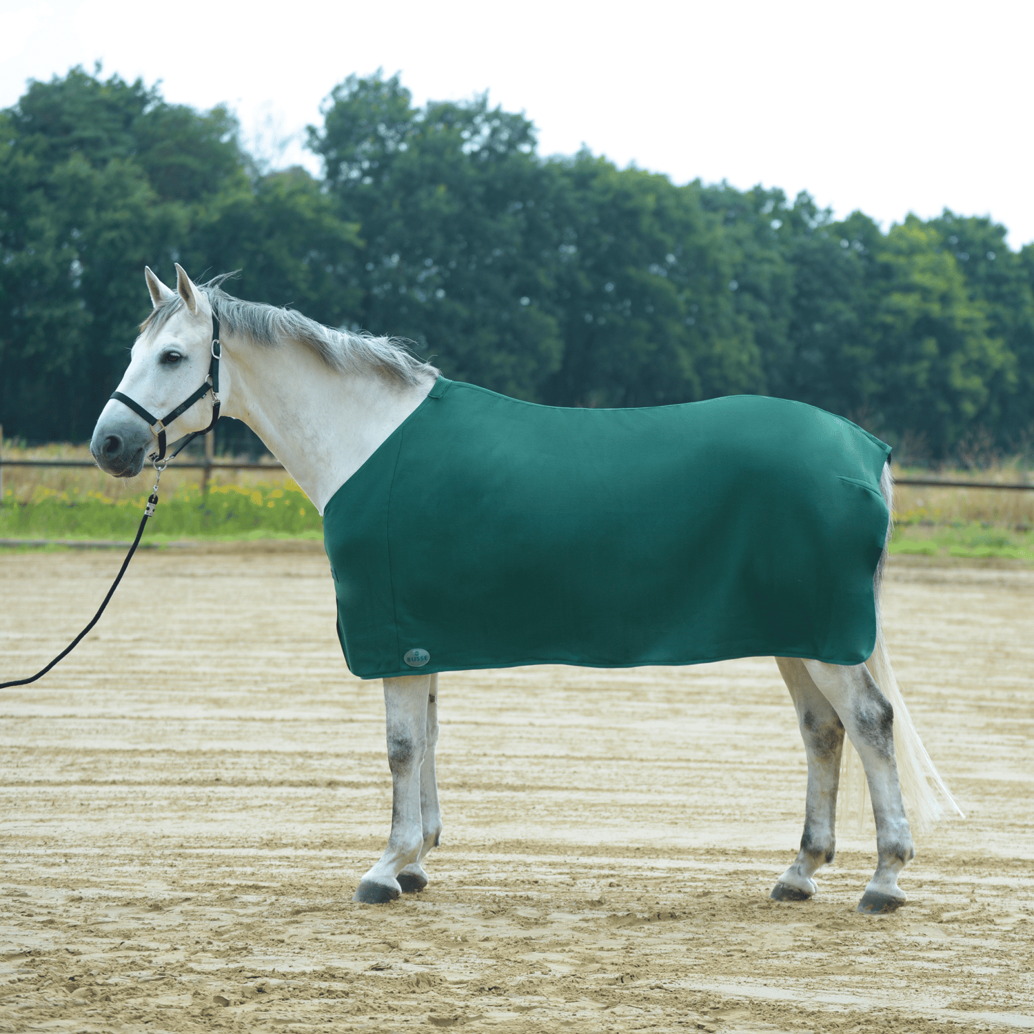Basic II sweat rug