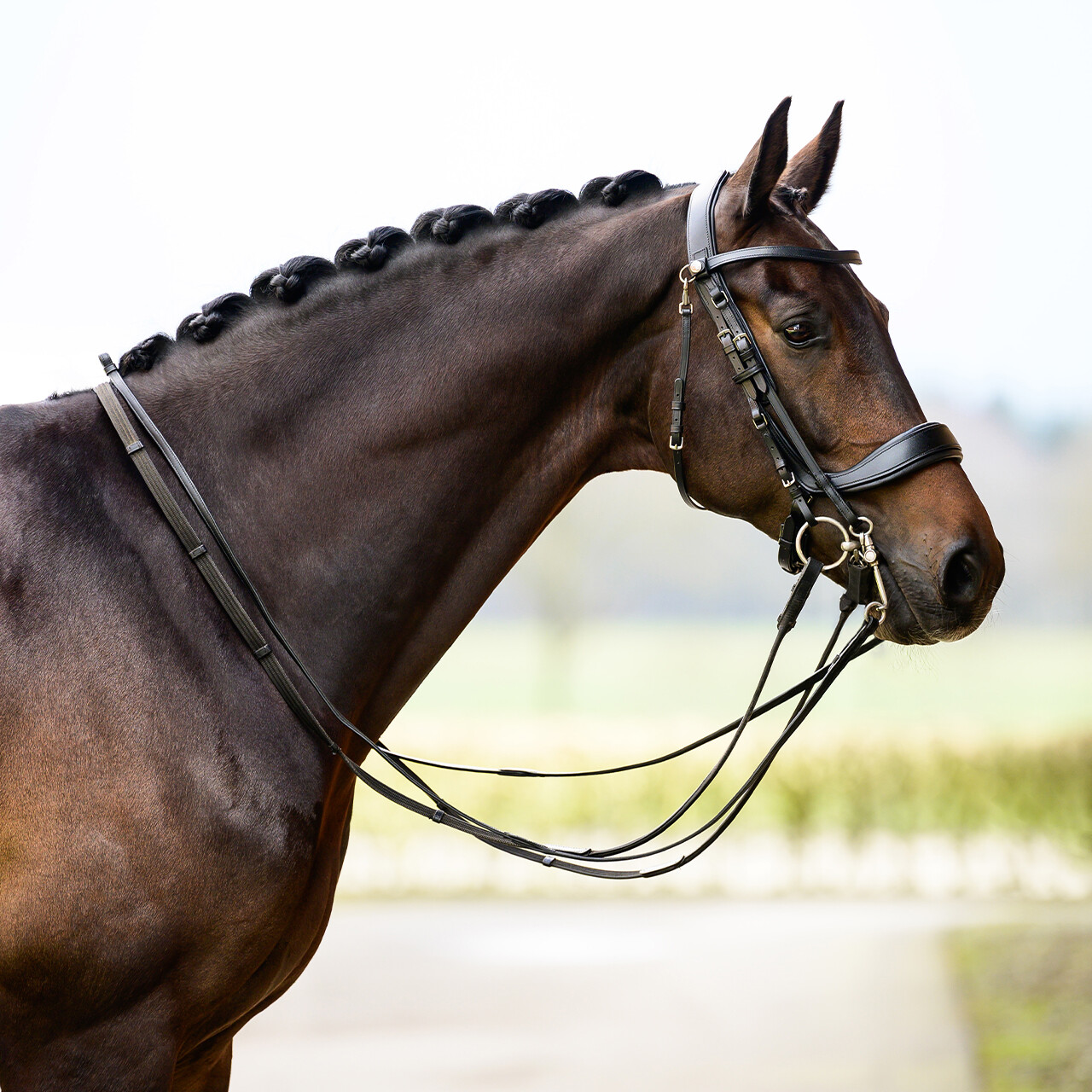 Double bridle FayPerform
