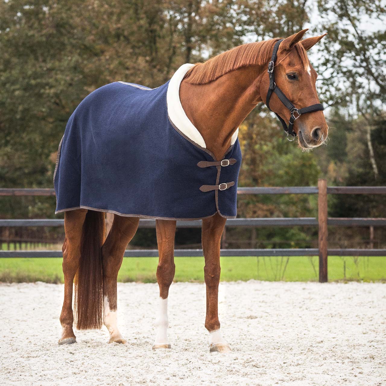 Deluxe sweat rug