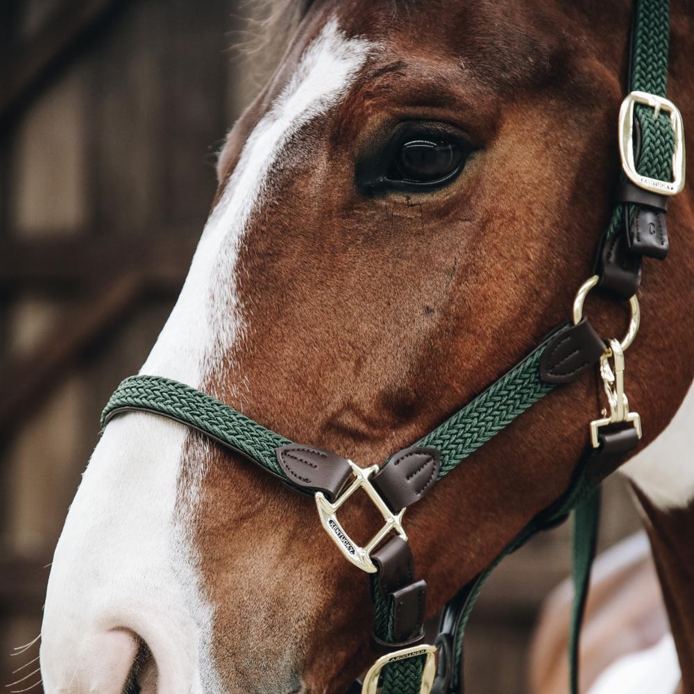 Halter Braided Nylon