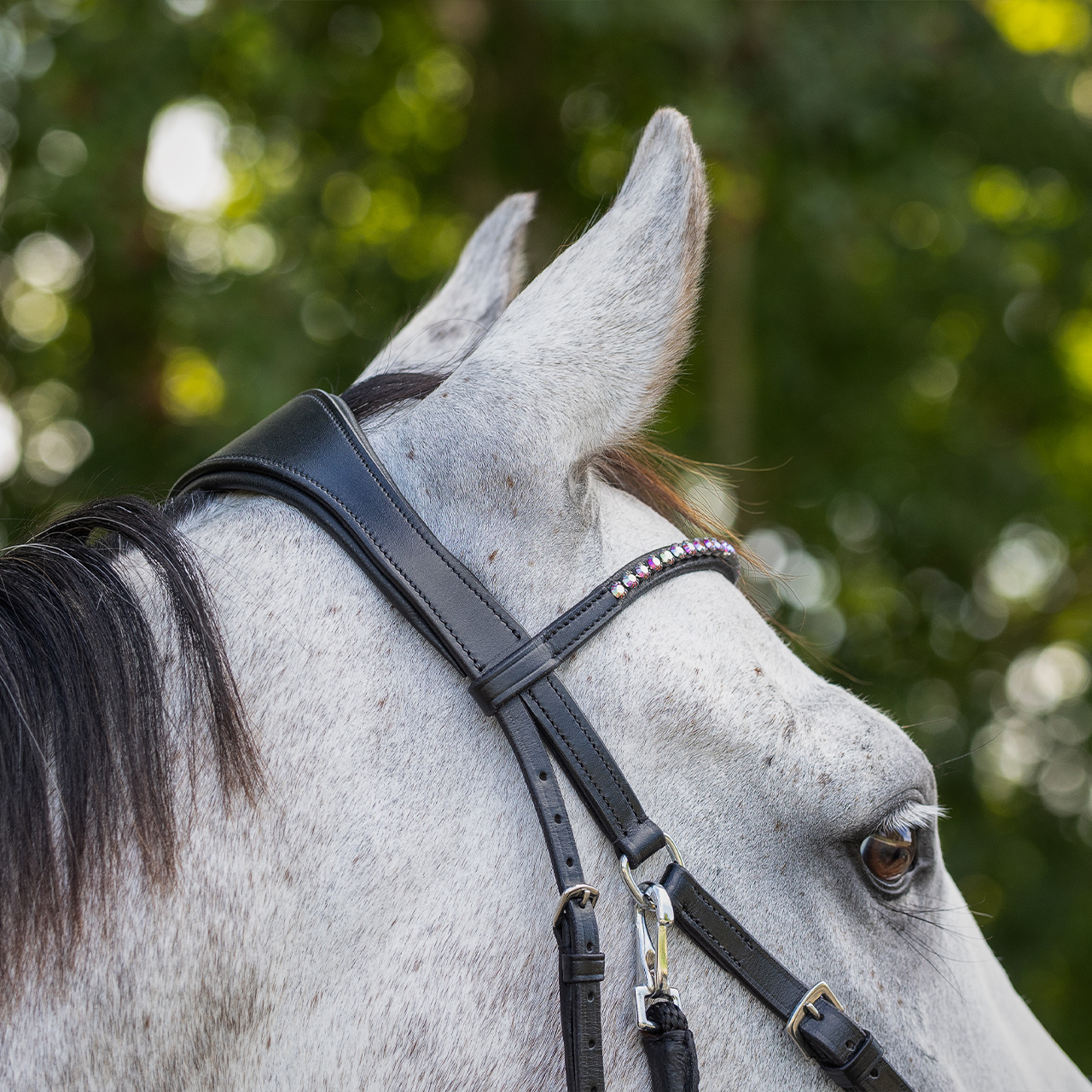 Snaffle bitless Sunna