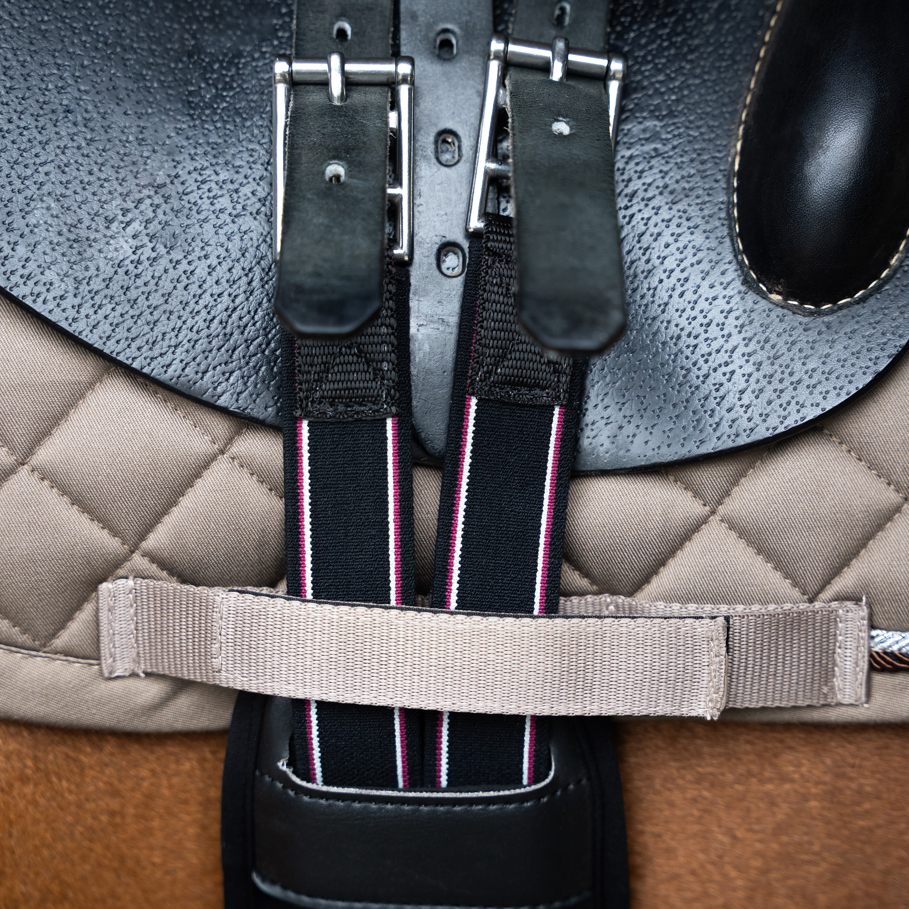 Stollengurt Basic anatomisch und Neopren