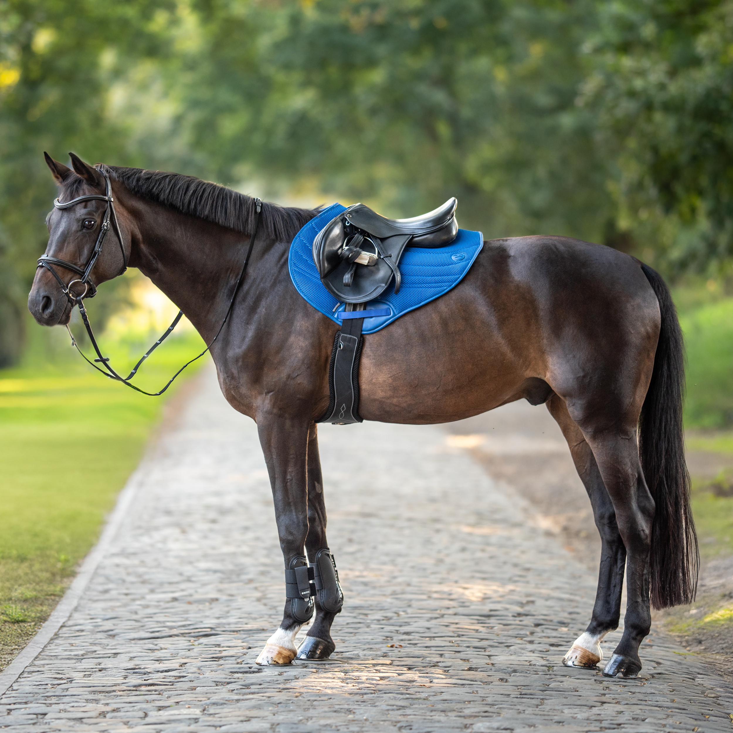 Saddle pad 3D Air Effect