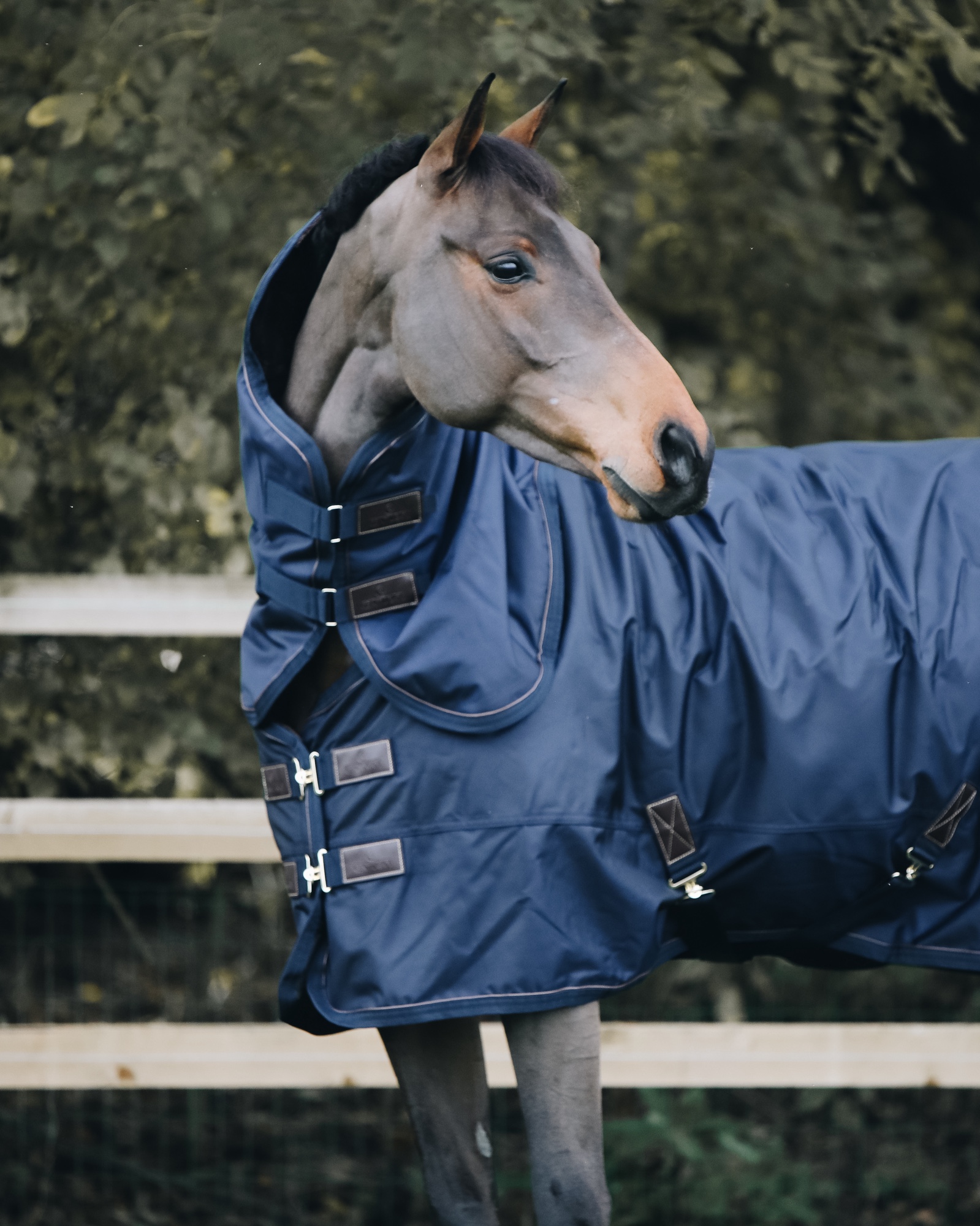Neck piece All Weather waterproof Pro 0g