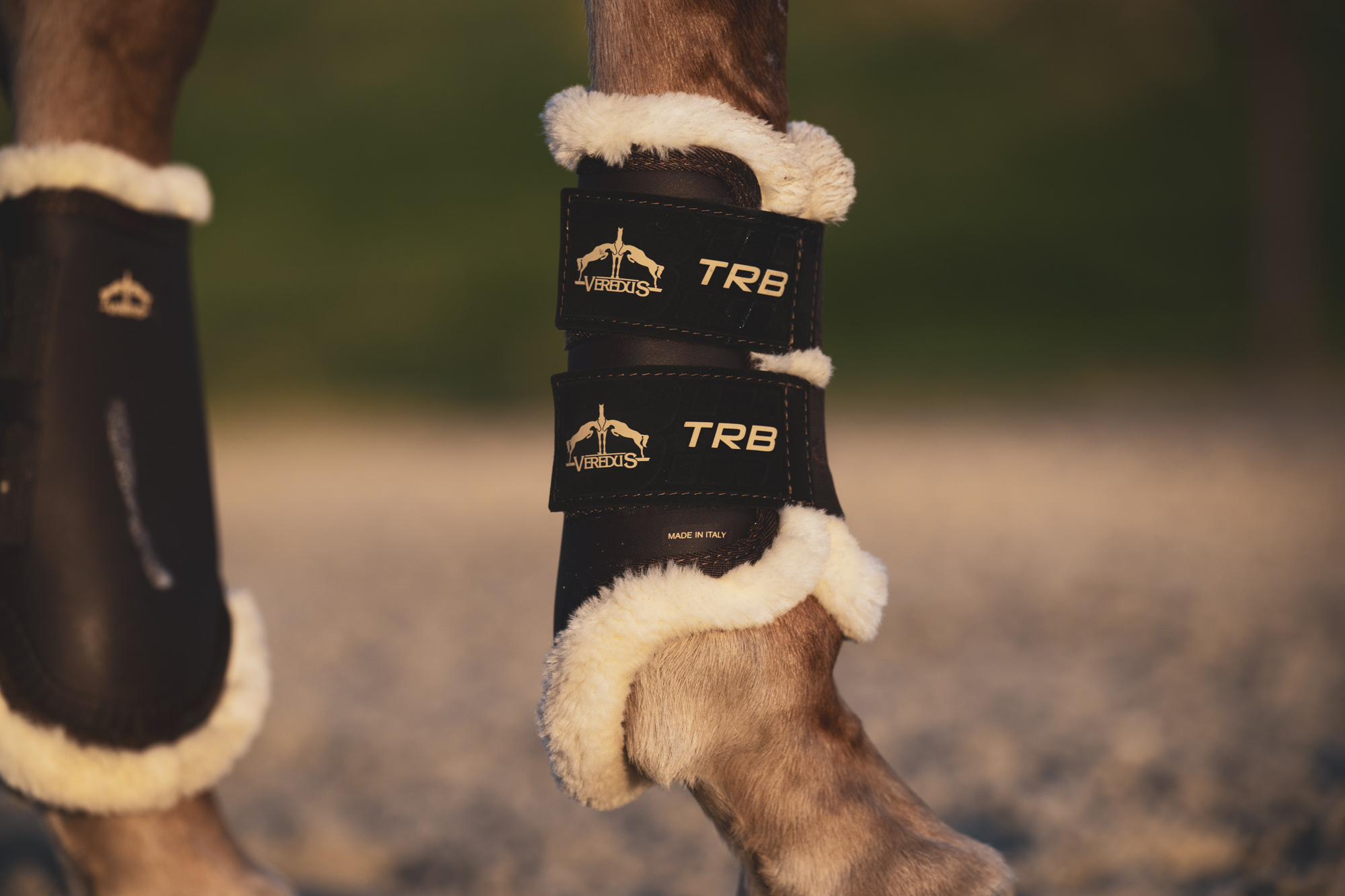 Gamaschen TRB Save the Sheep Front