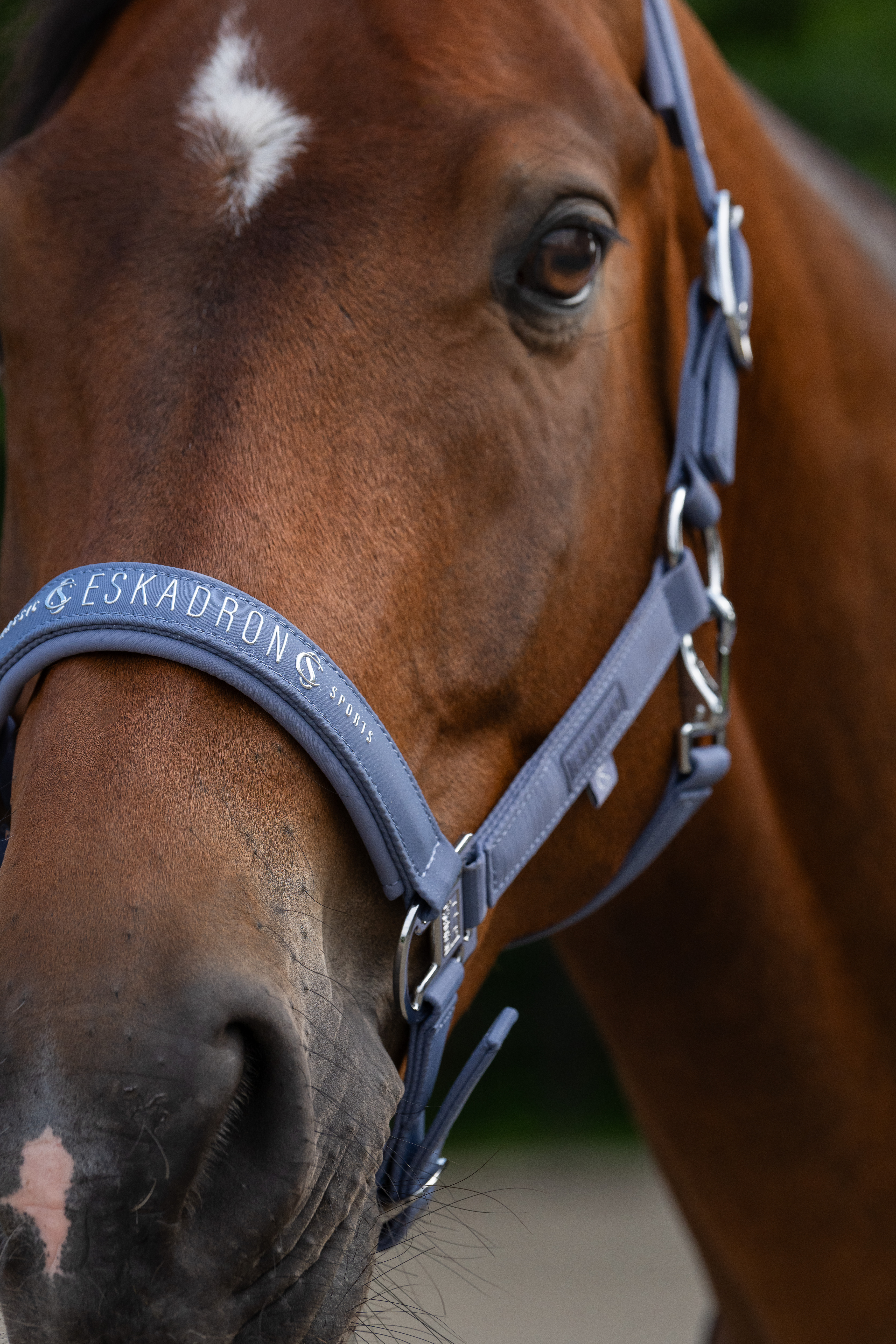 Halfter Classic Sports Sparkle